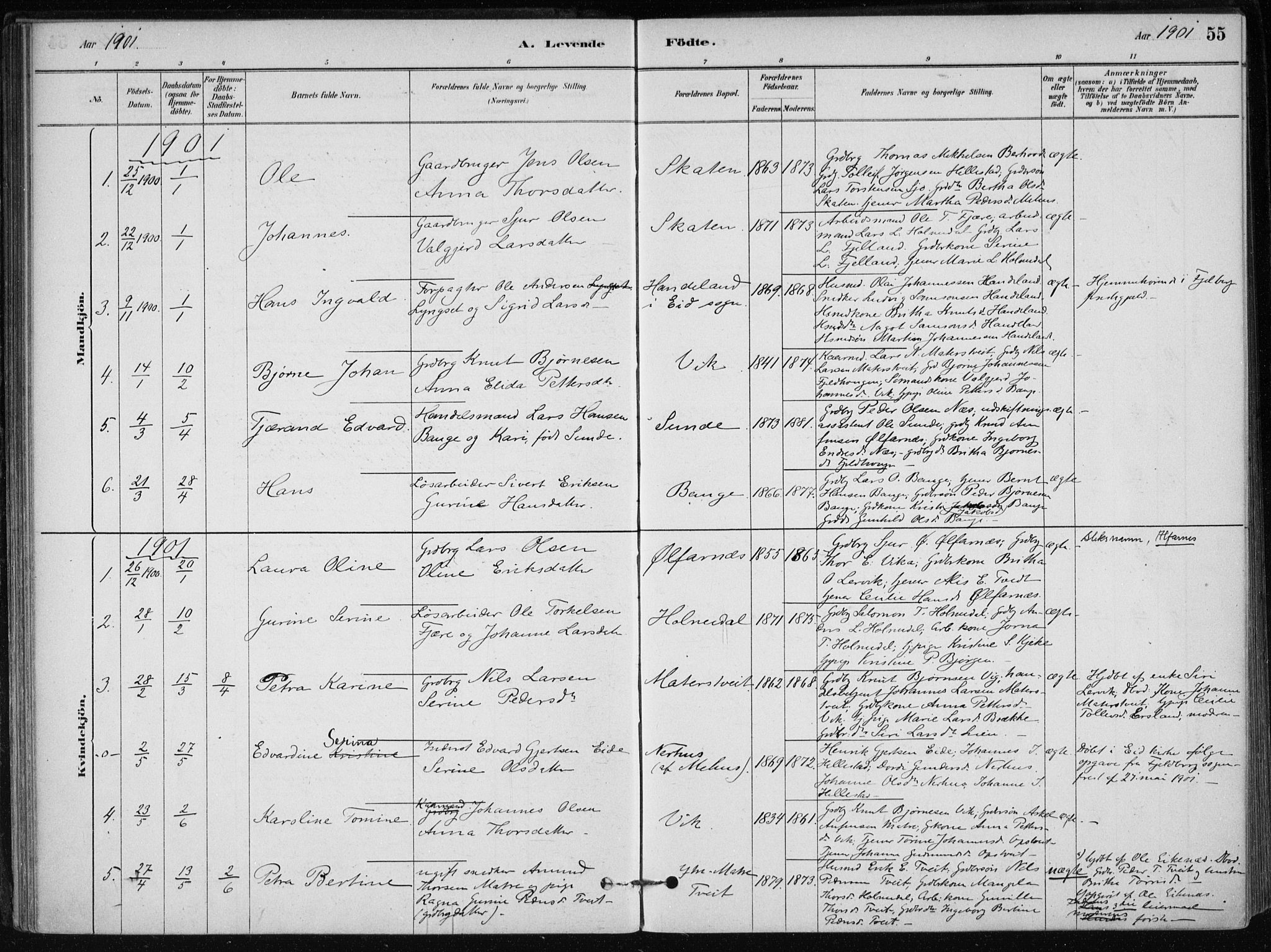 Skånevik sokneprestembete, AV/SAB-A-77801/H/Haa: Parish register (official) no. C  1, 1879-1917, p. 55