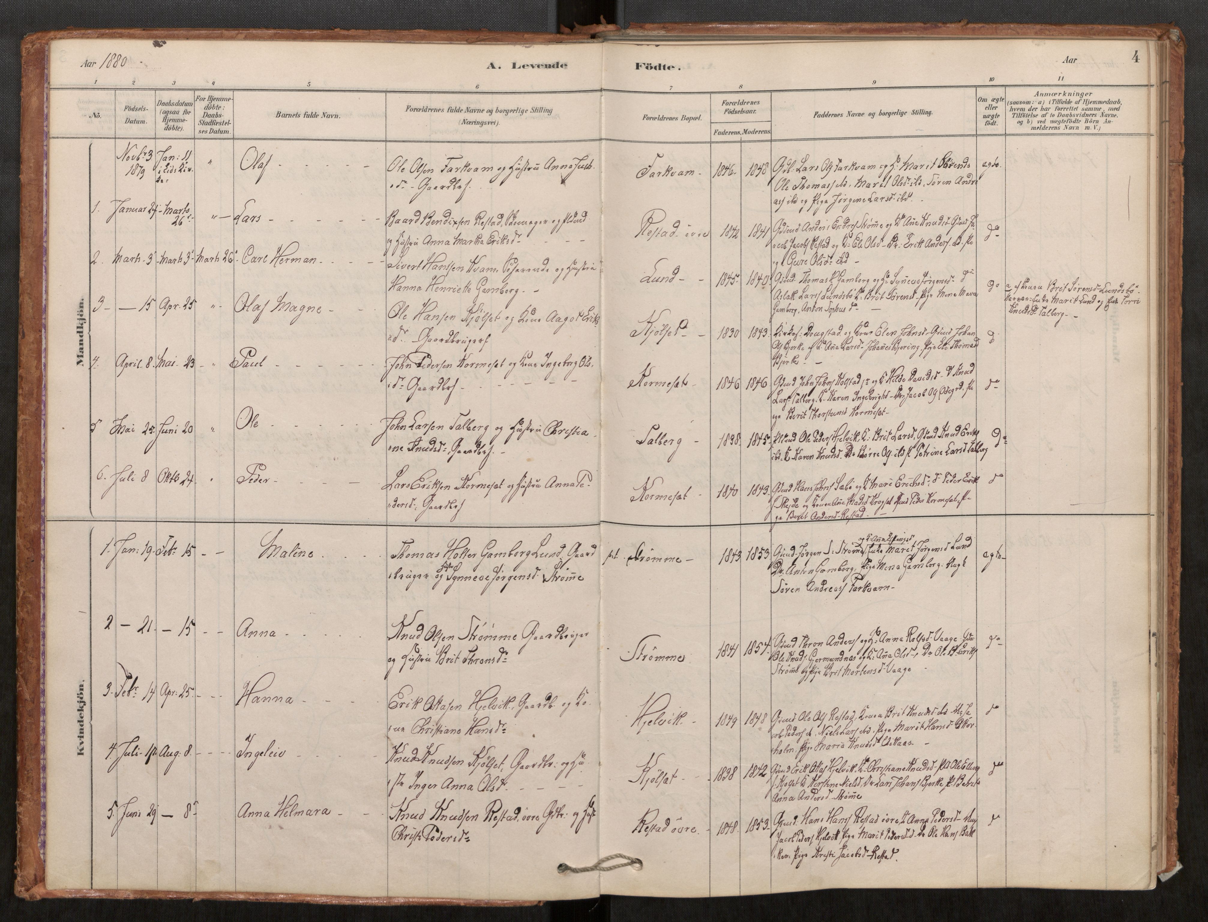 Ministerialprotokoller, klokkerbøker og fødselsregistre - Møre og Romsdal, SAT/A-1454/550/L0621: Parish register (official) no. 550A01, 1878-1915, p. 4