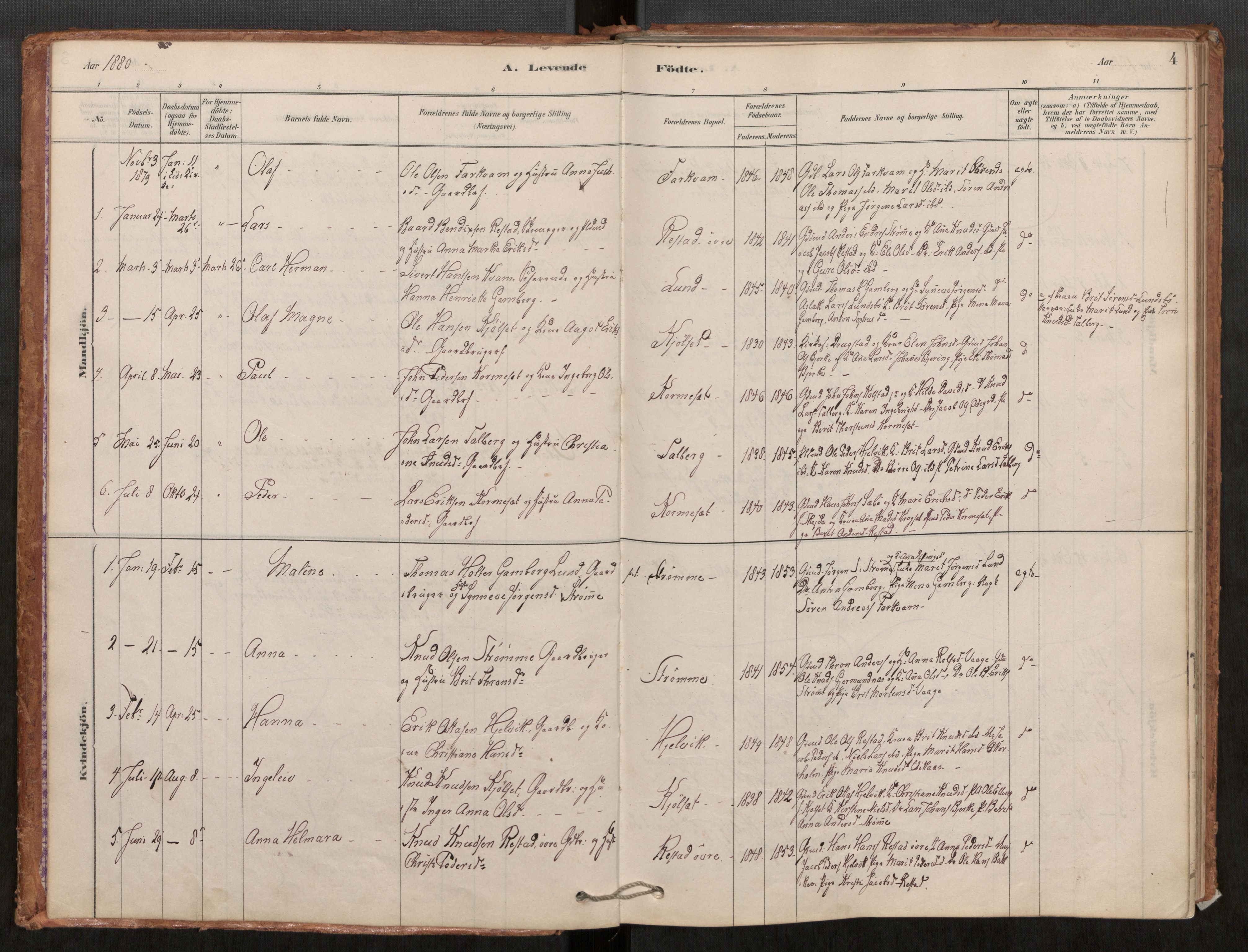 Ministerialprotokoller, klokkerbøker og fødselsregistre - Møre og Romsdal, AV/SAT-A-1454/550/L0621: Parish register (official) no. 550A01, 1878-1915, p. 4