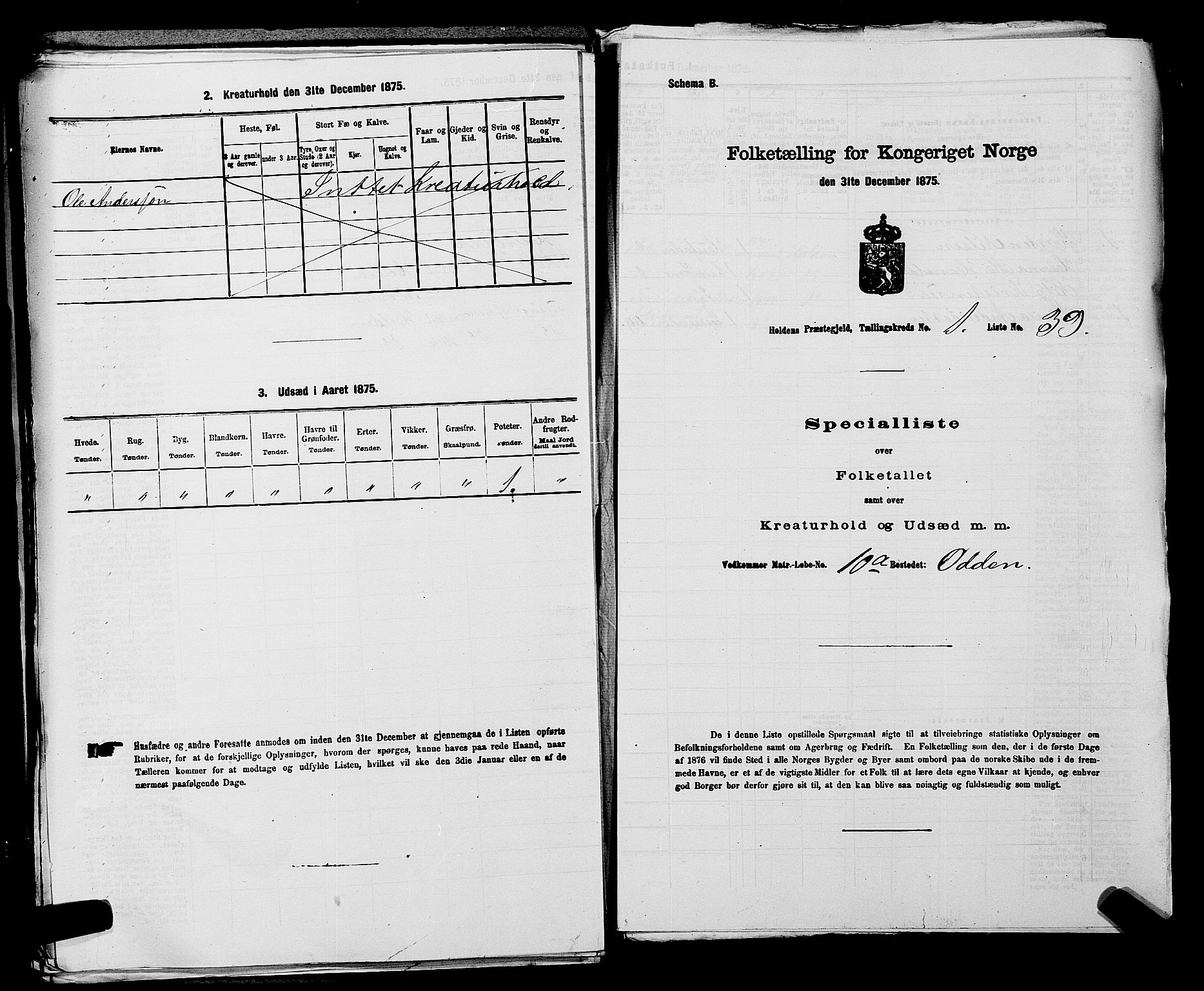 SAKO, 1875 census for 0819P Holla, 1875, p. 129