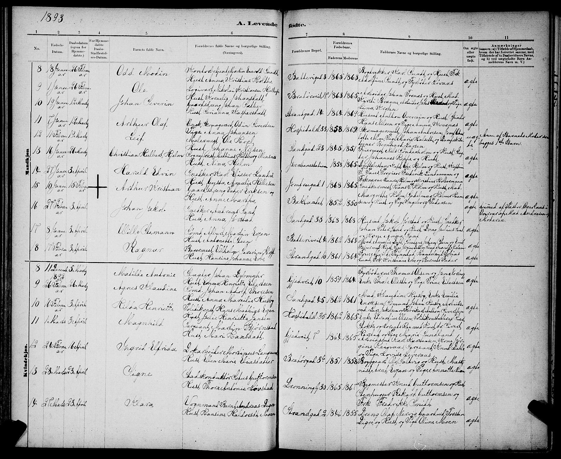 Ministerialprotokoller, klokkerbøker og fødselsregistre - Sør-Trøndelag, SAT/A-1456/602/L0143: Parish register (copy) no. 602C11, 1878-1902