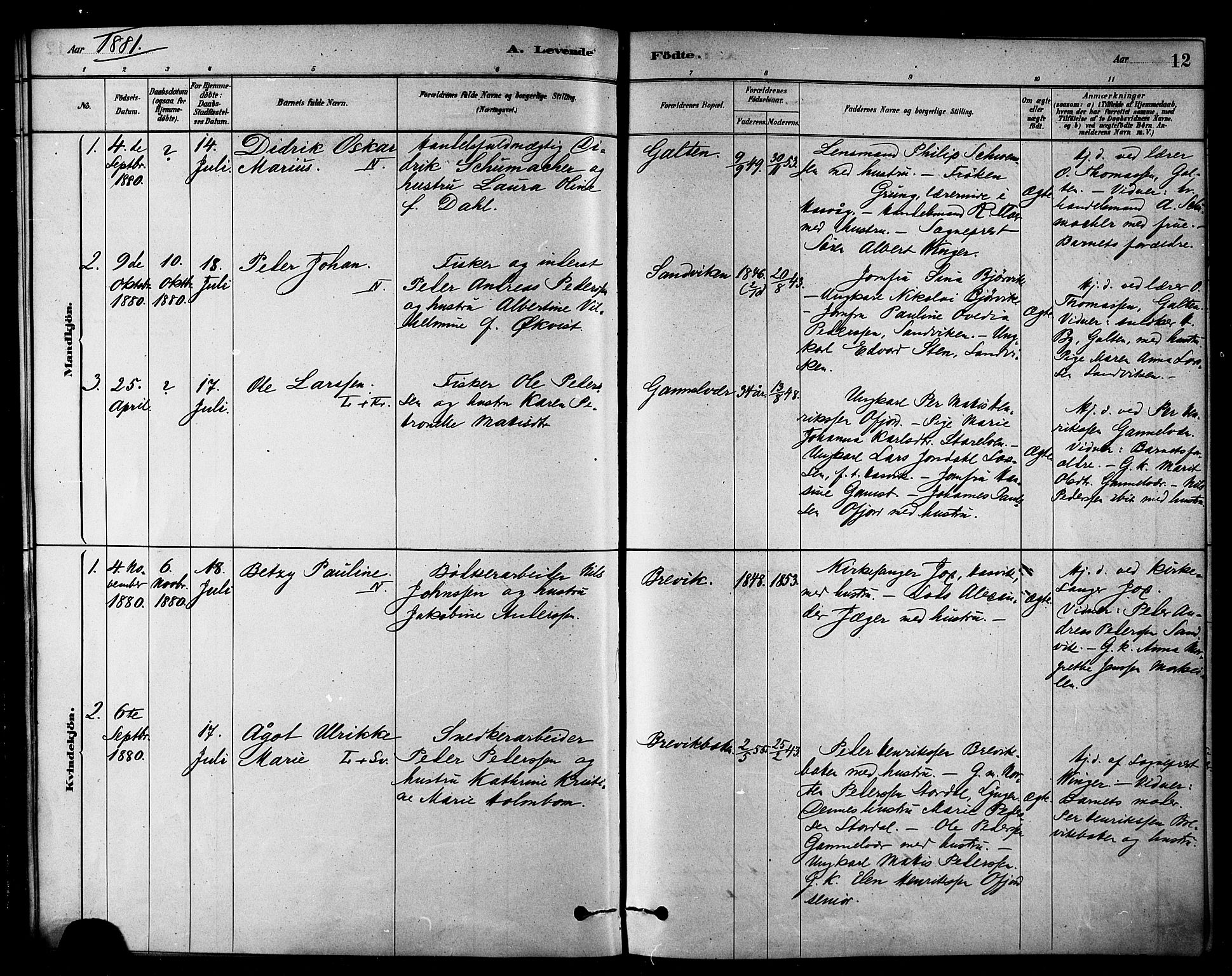 Loppa sokneprestkontor, SATØ/S-1339/H/Ha/L0007kirke: Parish register (official) no. 7, 1879-1889, p. 12