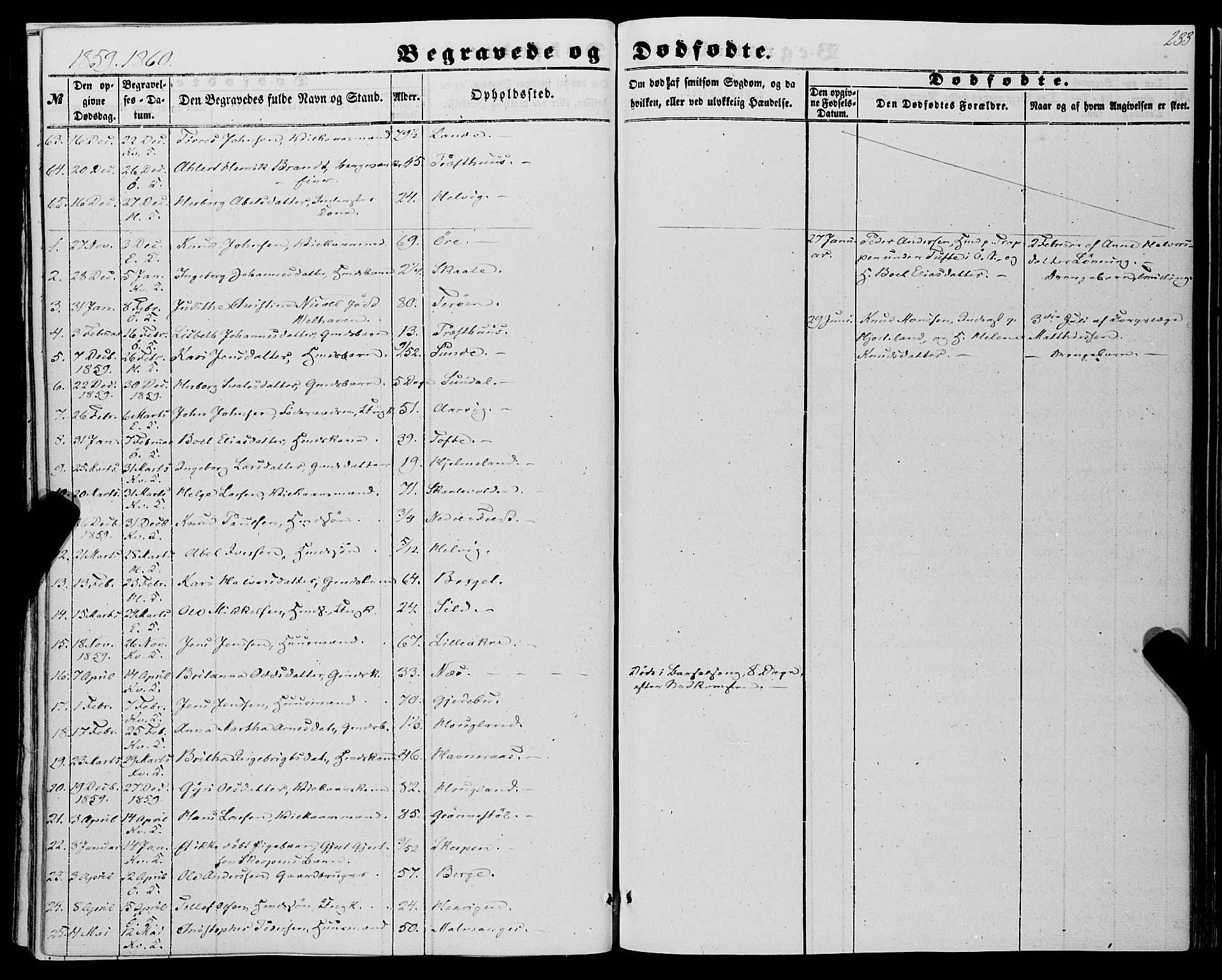 Kvinnherad sokneprestembete, SAB/A-76401/H/Haa: Parish register (official) no. A 8, 1854-1872, p. 233