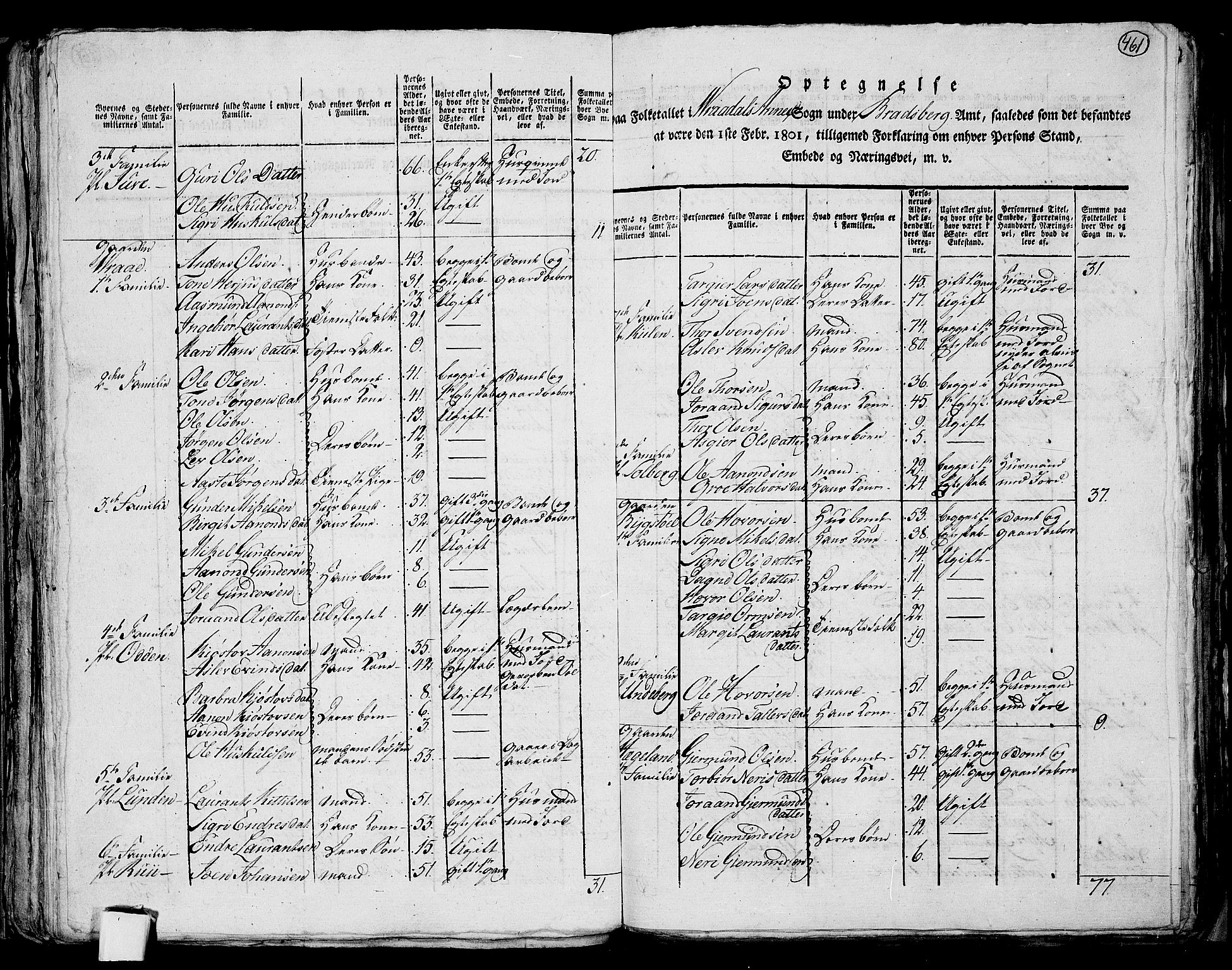 RA, 1801 census for 0829P Kviteseid, 1801, p. 460b-461a