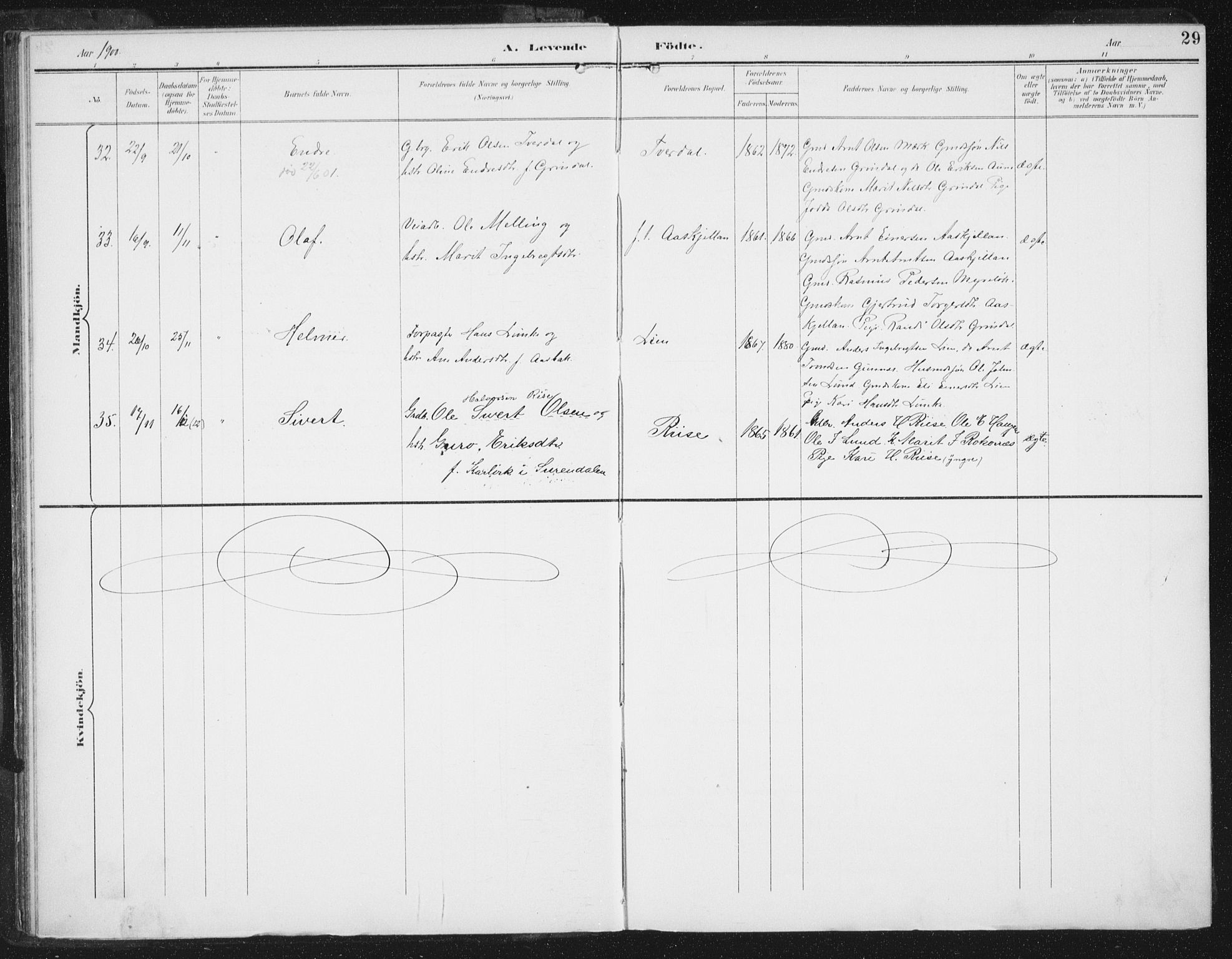 Ministerialprotokoller, klokkerbøker og fødselsregistre - Sør-Trøndelag, AV/SAT-A-1456/674/L0872: Parish register (official) no. 674A04, 1897-1907, p. 29