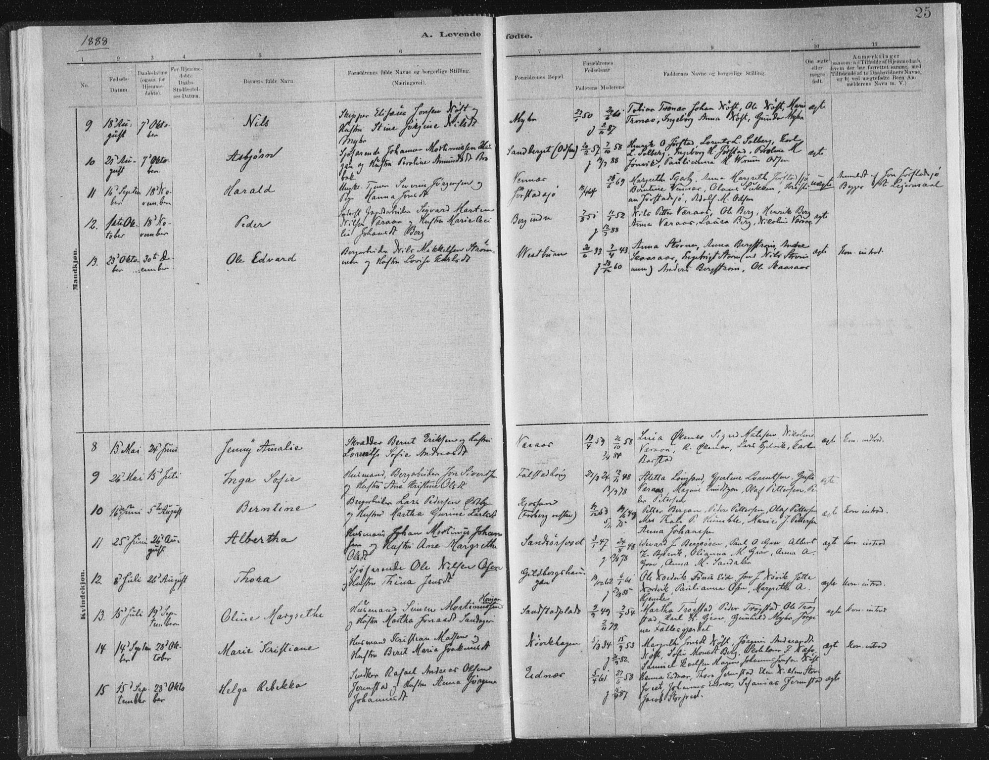 Ministerialprotokoller, klokkerbøker og fødselsregistre - Nord-Trøndelag, AV/SAT-A-1458/722/L0220: Parish register (official) no. 722A07, 1881-1908, p. 25