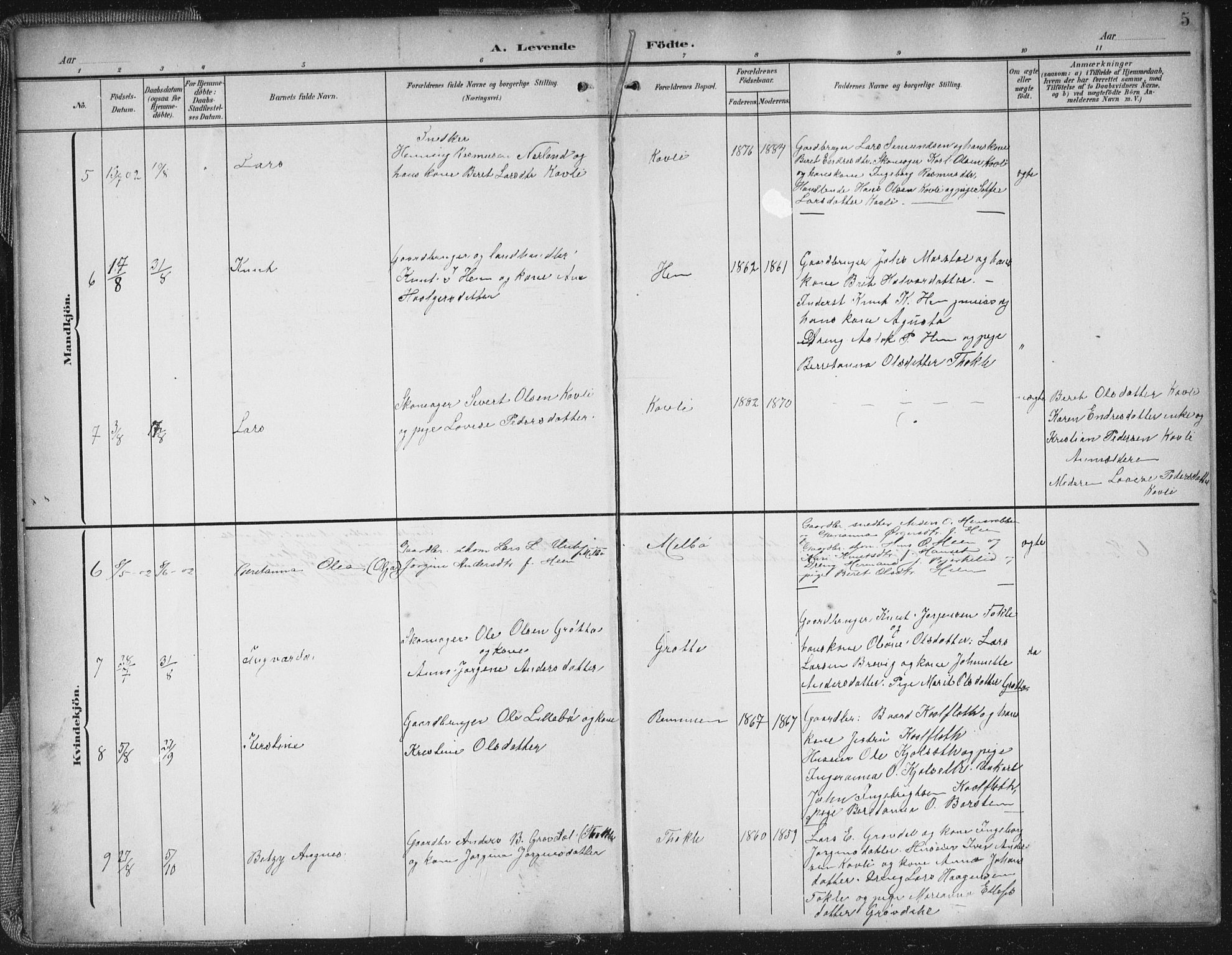 Ministerialprotokoller, klokkerbøker og fødselsregistre - Møre og Romsdal, SAT/A-1454/545/L0589: Parish register (copy) no. 545C03, 1902-1937, p. 5