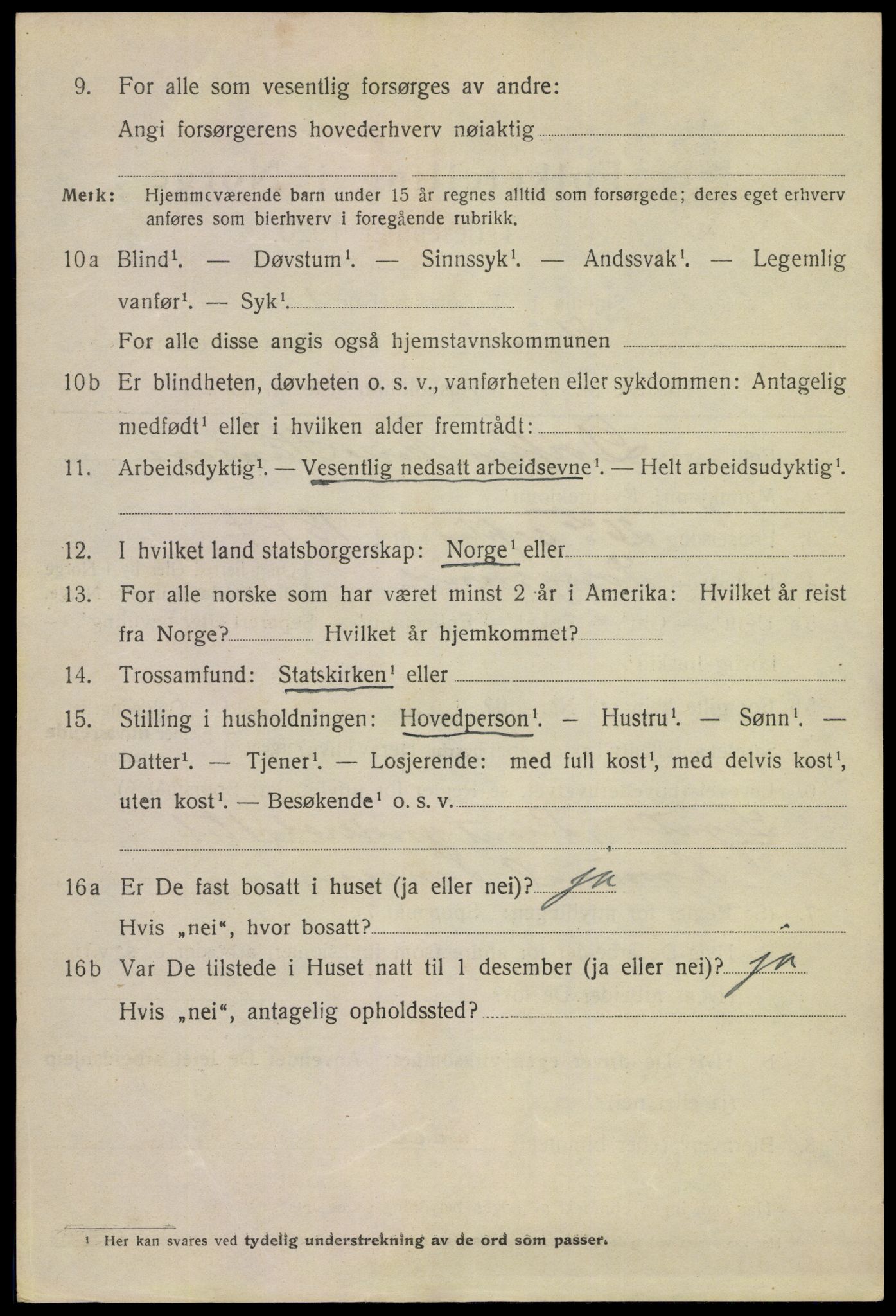 SAKO, 1920 census for Skien, 1920, p. 13541
