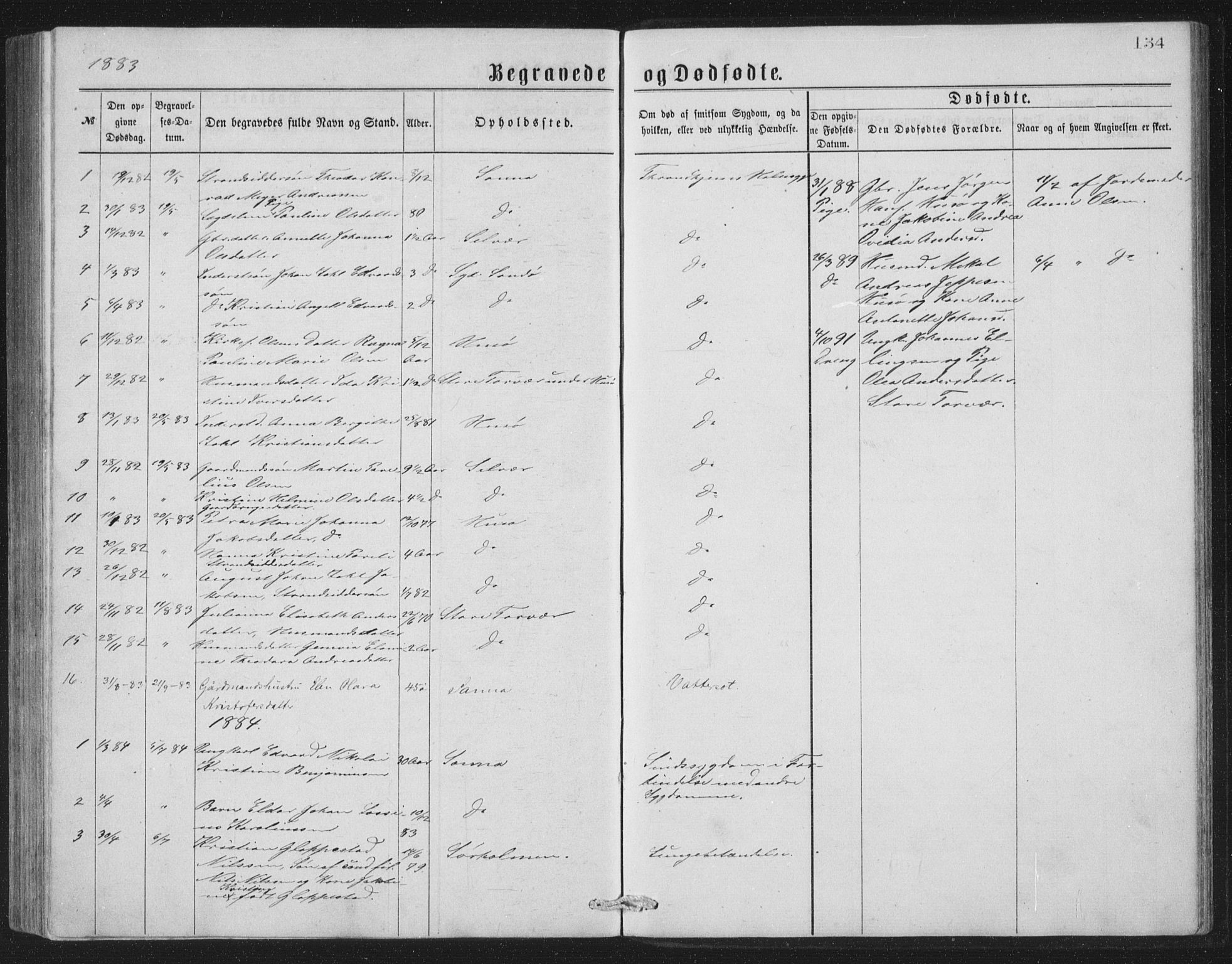 Ministerialprotokoller, klokkerbøker og fødselsregistre - Nordland, SAT/A-1459/840/L0582: Parish register (copy) no. 840C02, 1874-1900, p. 134