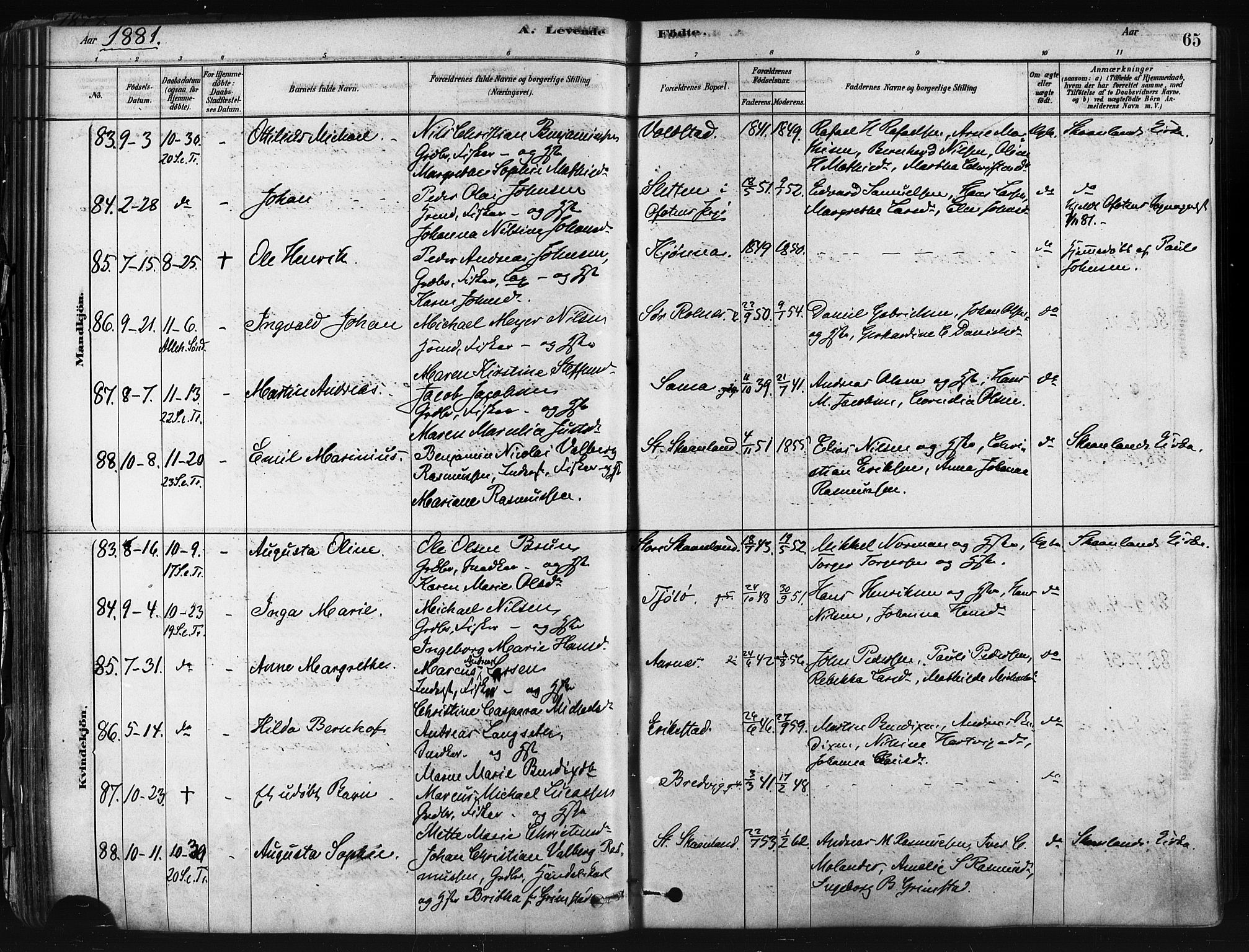 Trondenes sokneprestkontor, SATØ/S-1319/H/Ha/L0014kirke: Parish register (official) no. 14, 1878-1889, p. 65