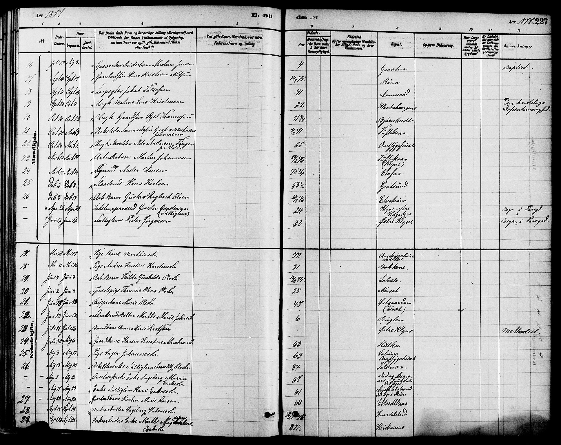 Solum kirkebøker, SAKO/A-306/F/Fa/L0009: Parish register (official) no. I 9, 1877-1887, p. 227