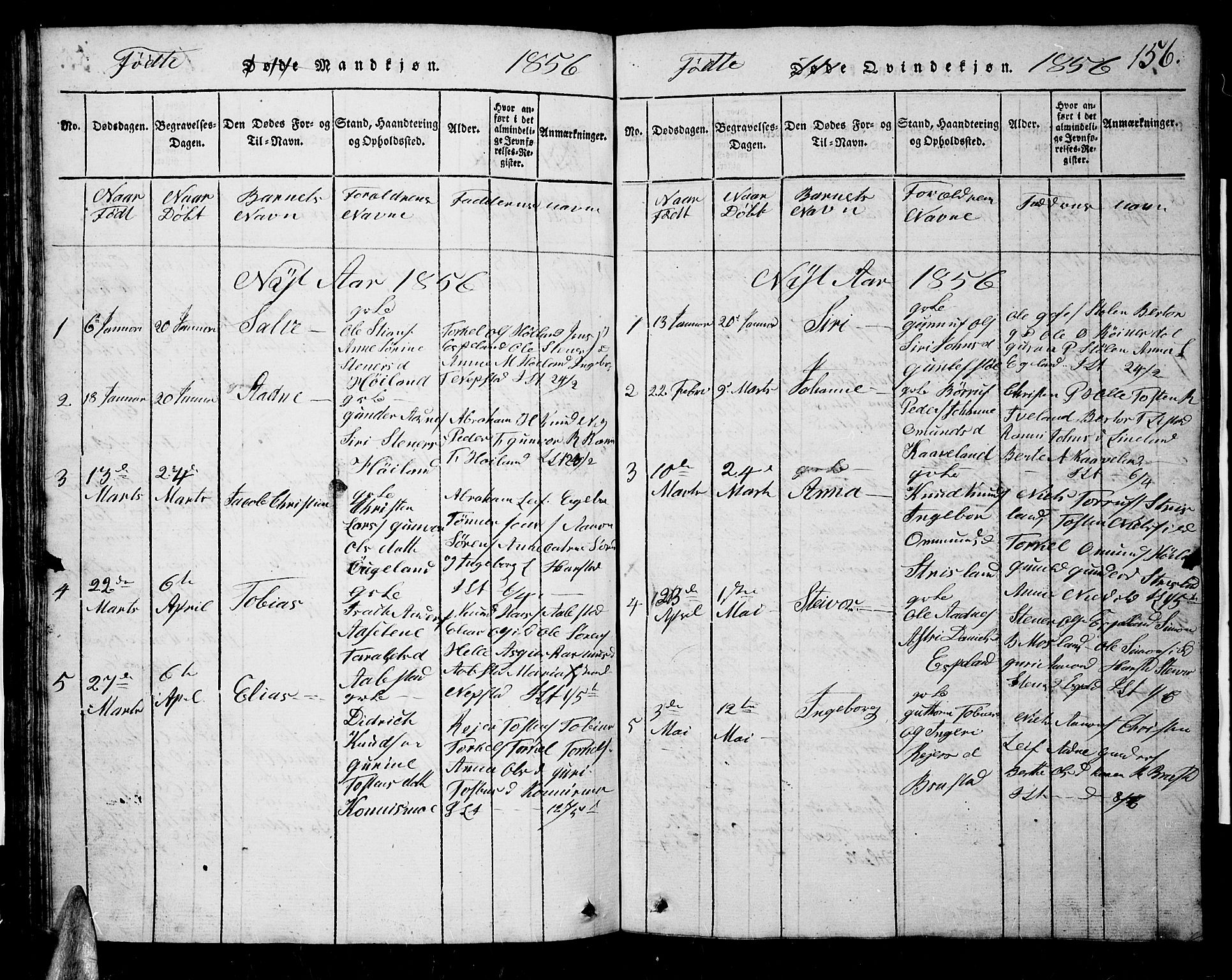 Nord-Audnedal sokneprestkontor, AV/SAK-1111-0032/F/Fb/Fba/L0001: Parish register (copy) no. B 1, 1815-1856, p. 156