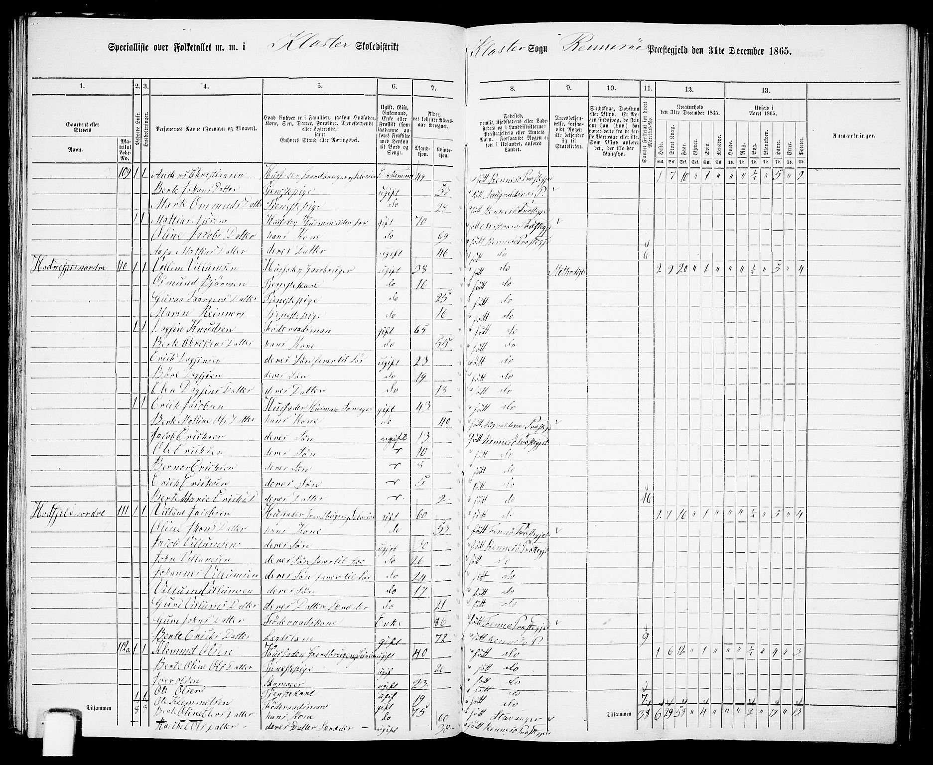 RA, 1865 census for Rennesøy, 1865, p. 65