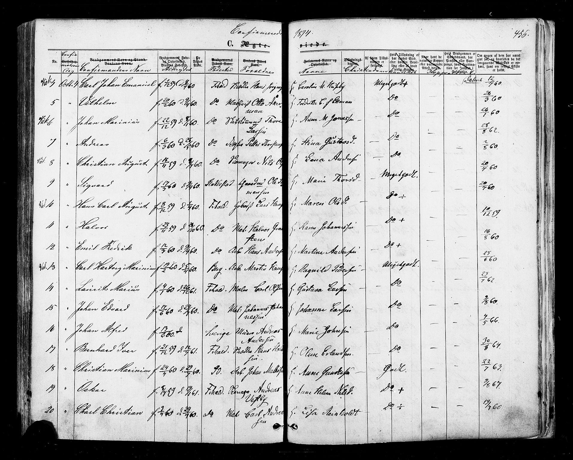 Halden prestekontor Kirkebøker, AV/SAO-A-10909/F/Fa/L0009: Parish register (official) no. I 9, 1866-1877, p. 456