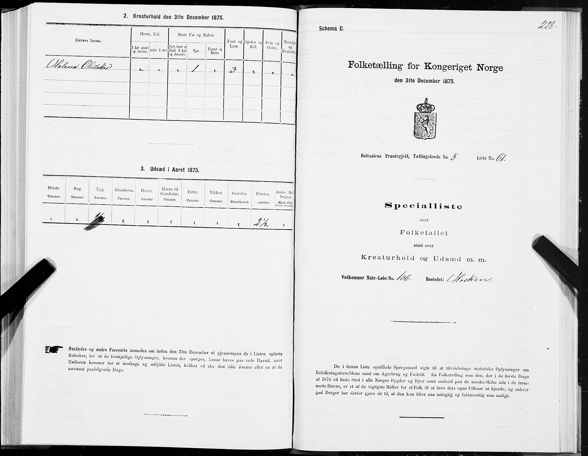 SAT, 1875 census for 1645P Haltdalen, 1875, p. 5228