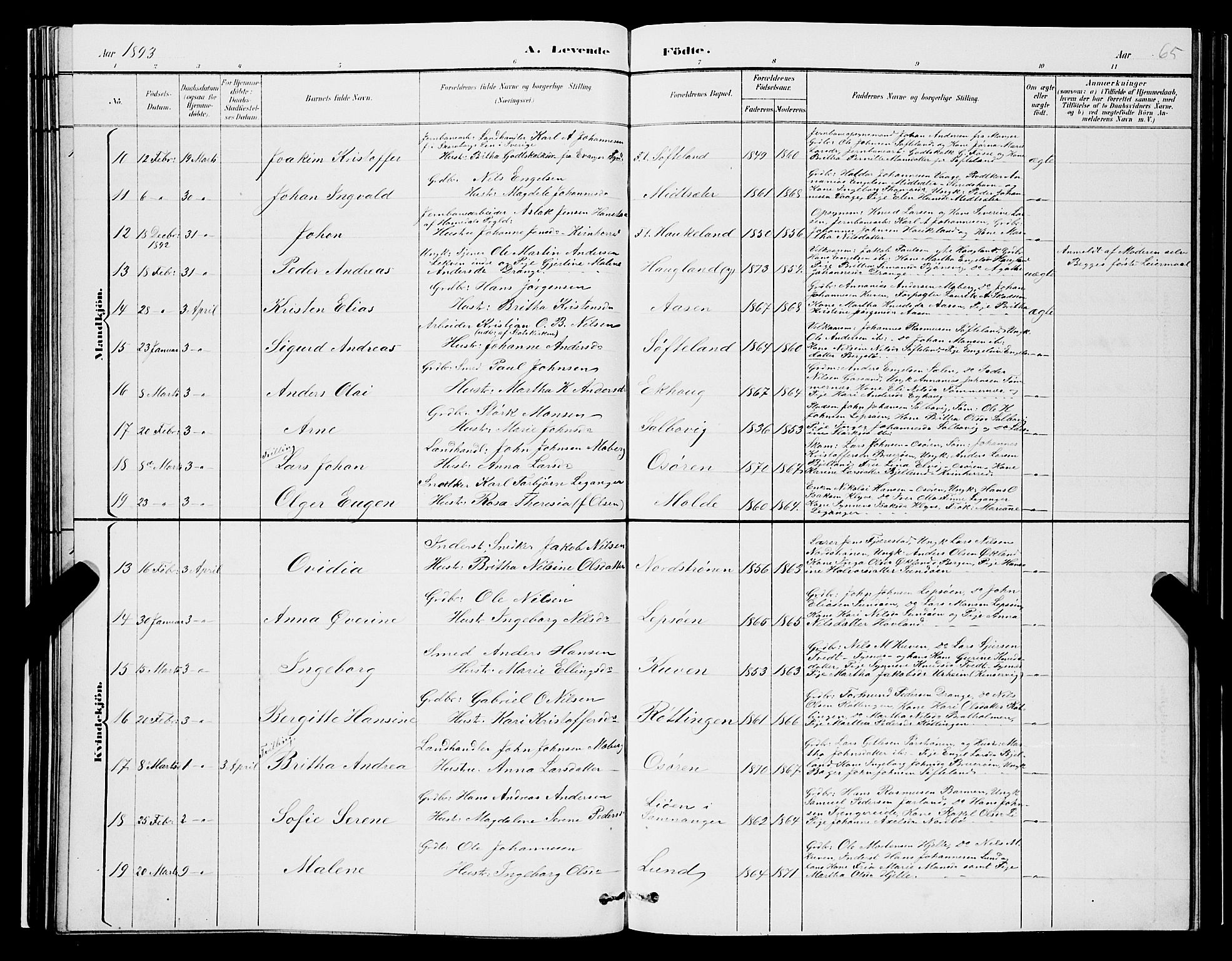 Os sokneprestembete, AV/SAB-A-99929: Parish register (copy) no. A 2, 1880-1896, p. 65