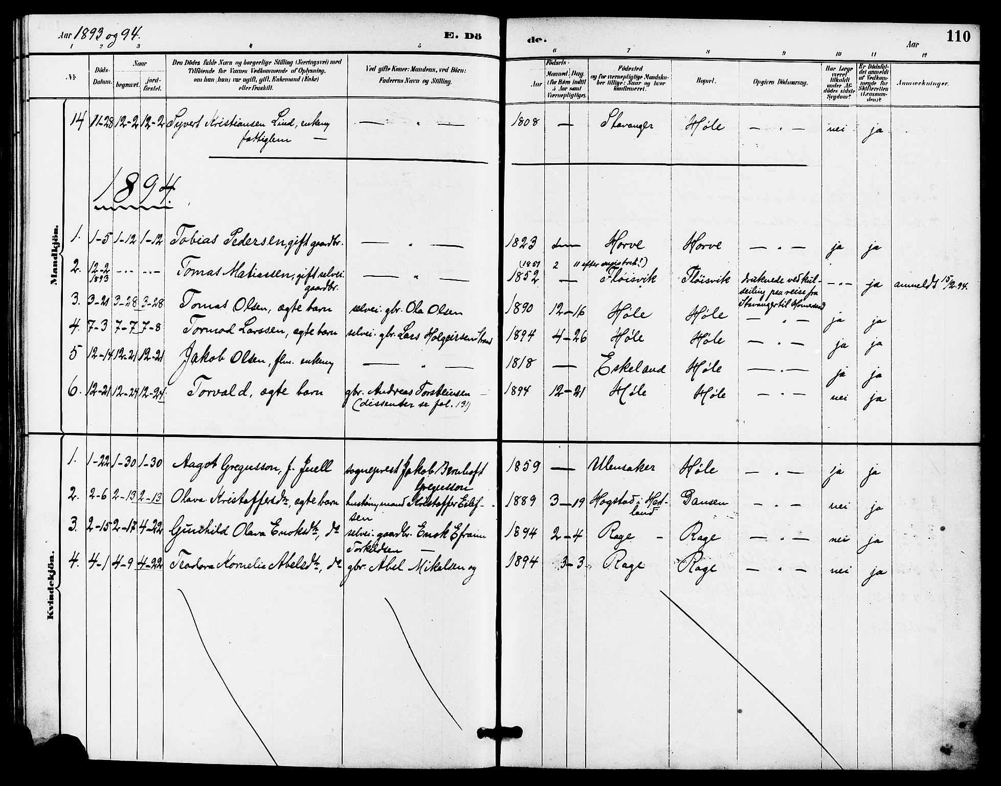 Høgsfjord sokneprestkontor, AV/SAST-A-101624/H/Ha/Haa/L0005: Parish register (official) no. A 5, 1885-1897, p. 110