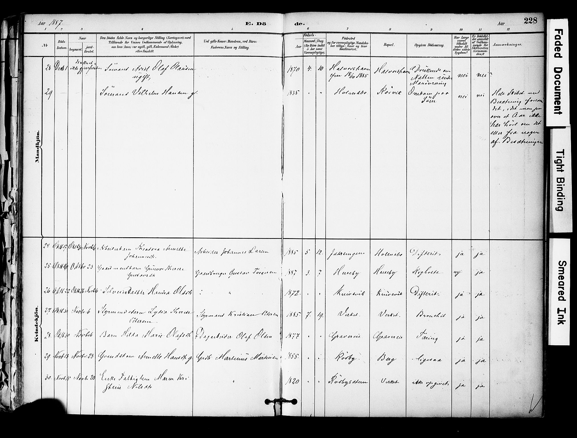 Hurum kirkebøker, AV/SAKO-A-229/F/Fa/L0014: Parish register (official) no. 14, 1882-1895, p. 228