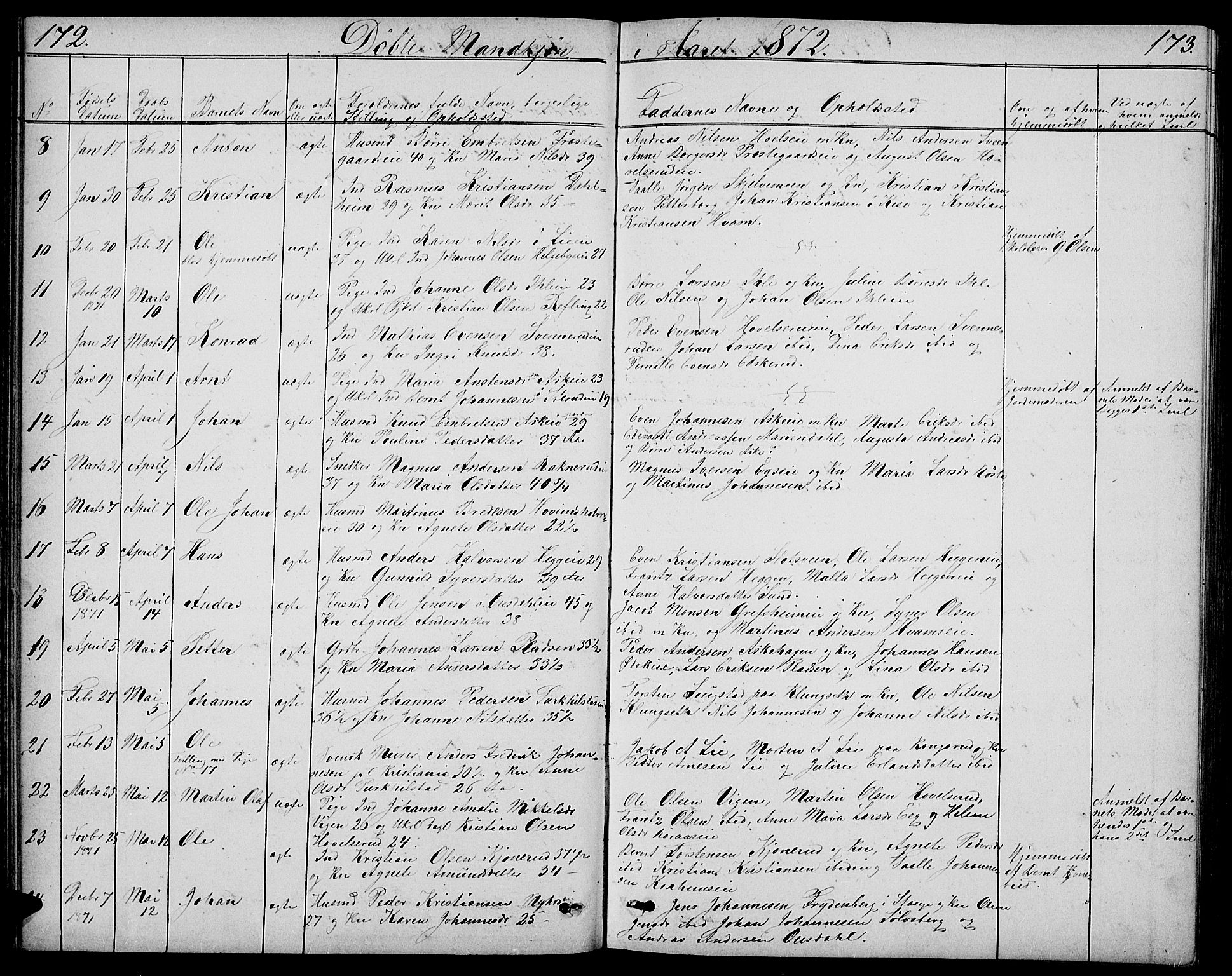 Nes prestekontor, Hedmark, SAH/PREST-020/L/La/L0005: Parish register (copy) no. 5, 1852-1889, p. 172-173