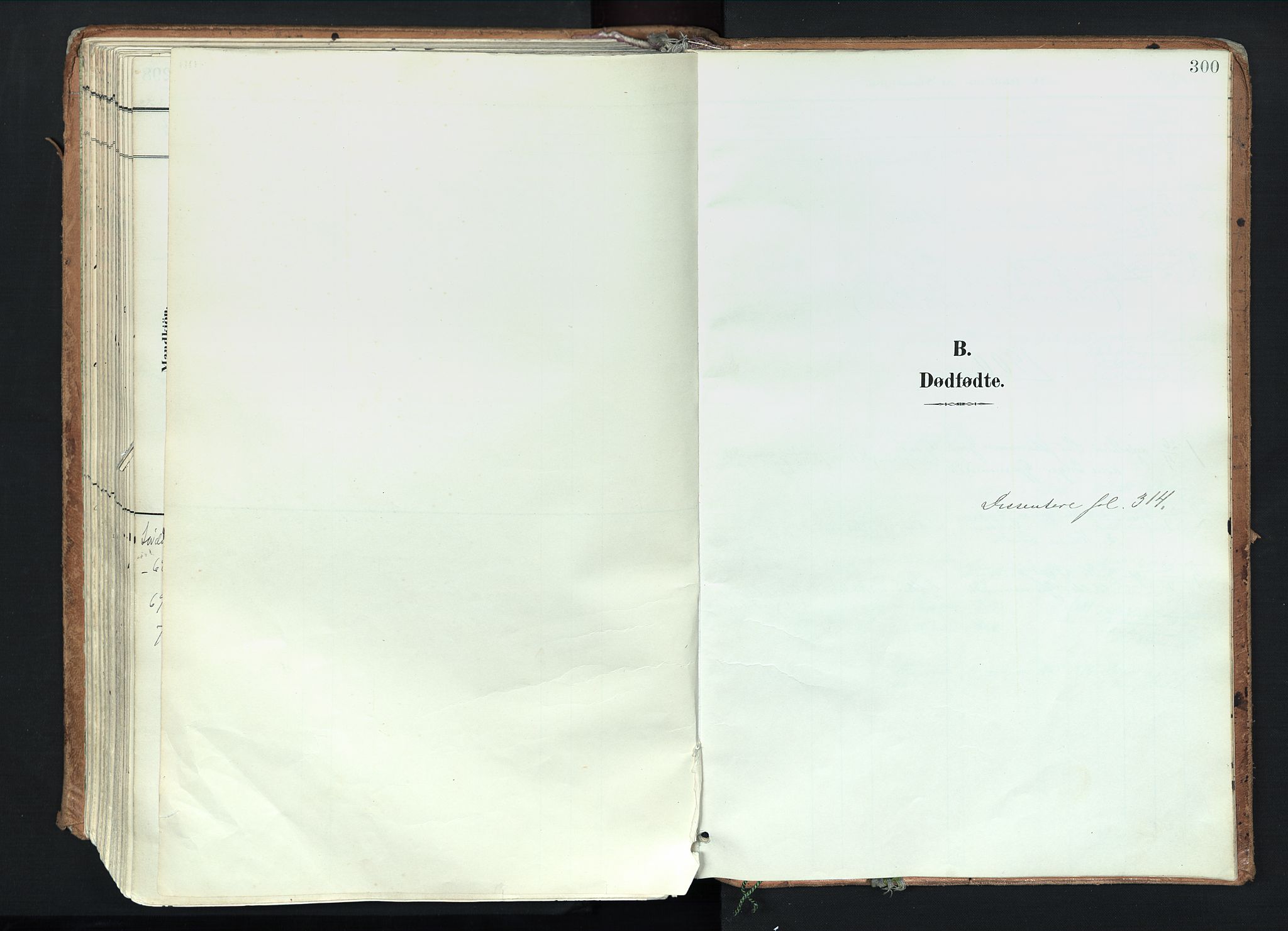 Trysil prestekontor, SAH/PREST-046/H/Ha/Haa/L0012: Parish register (official) no. 12, 1898-1917, p. 300