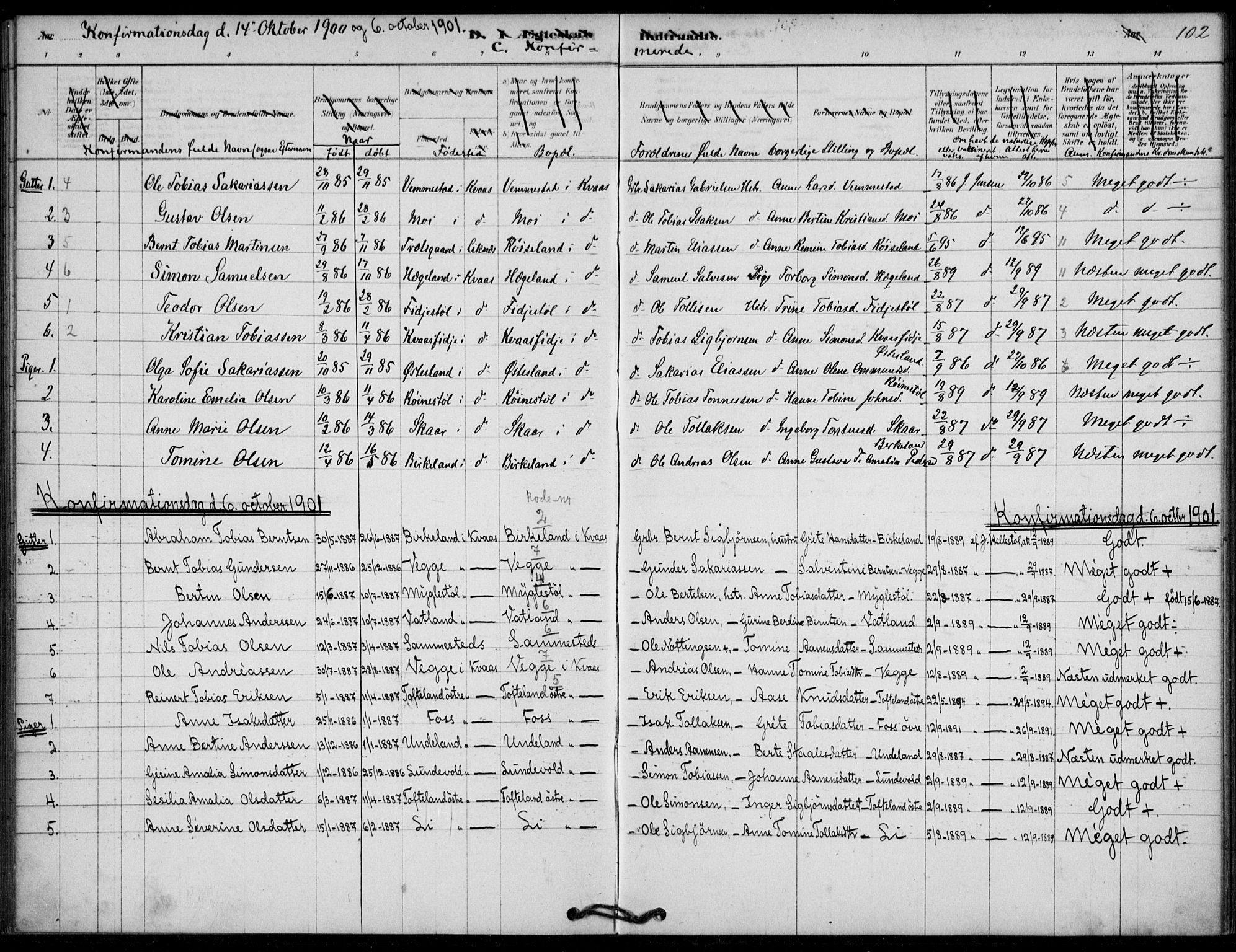 Lyngdal sokneprestkontor, SAK/1111-0029/F/Fa/Fab/L0003: Parish register (official) no. A 3, 1878-1903, p. 102