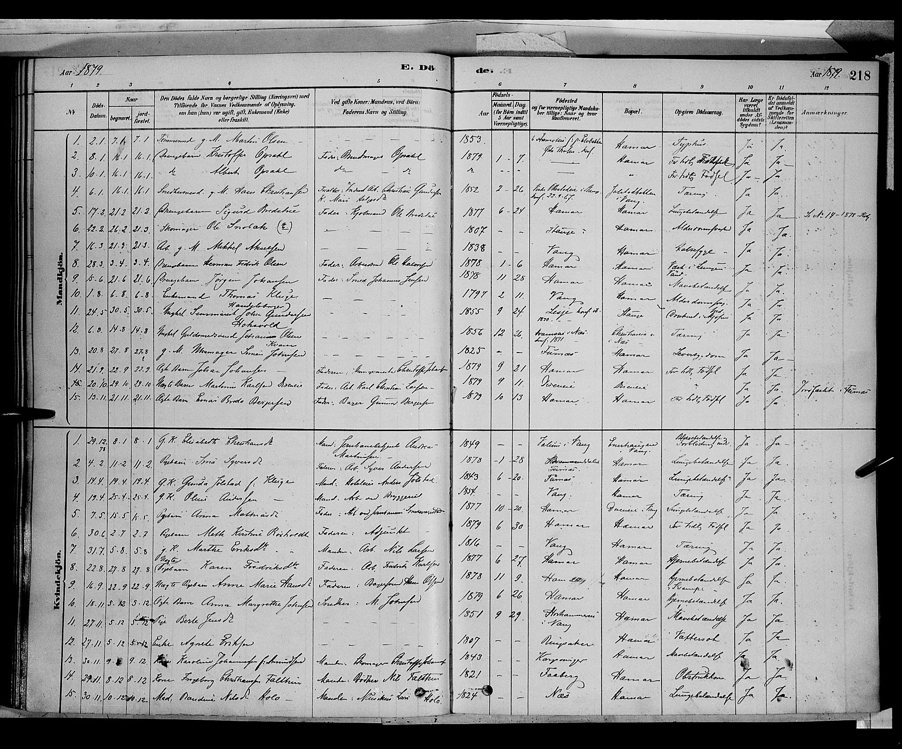Vang prestekontor, Hedmark, SAH/PREST-008/H/Ha/Haa/L0016: Parish register (official) no. 16, 1878-1889, p. 218