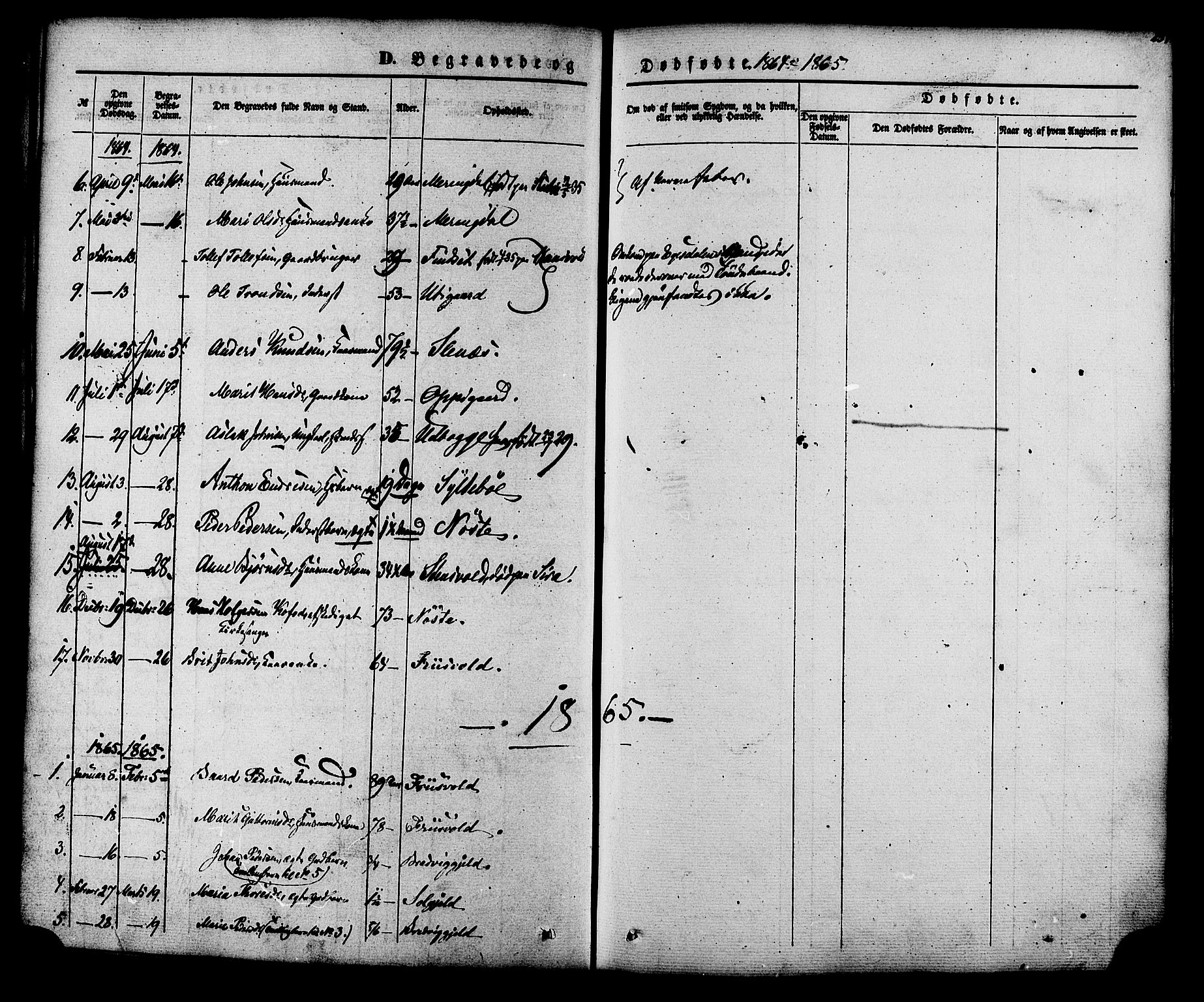 Ministerialprotokoller, klokkerbøker og fødselsregistre - Møre og Romsdal, AV/SAT-A-1454/552/L0637: Parish register (official) no. 552A01, 1845-1879, p. 251