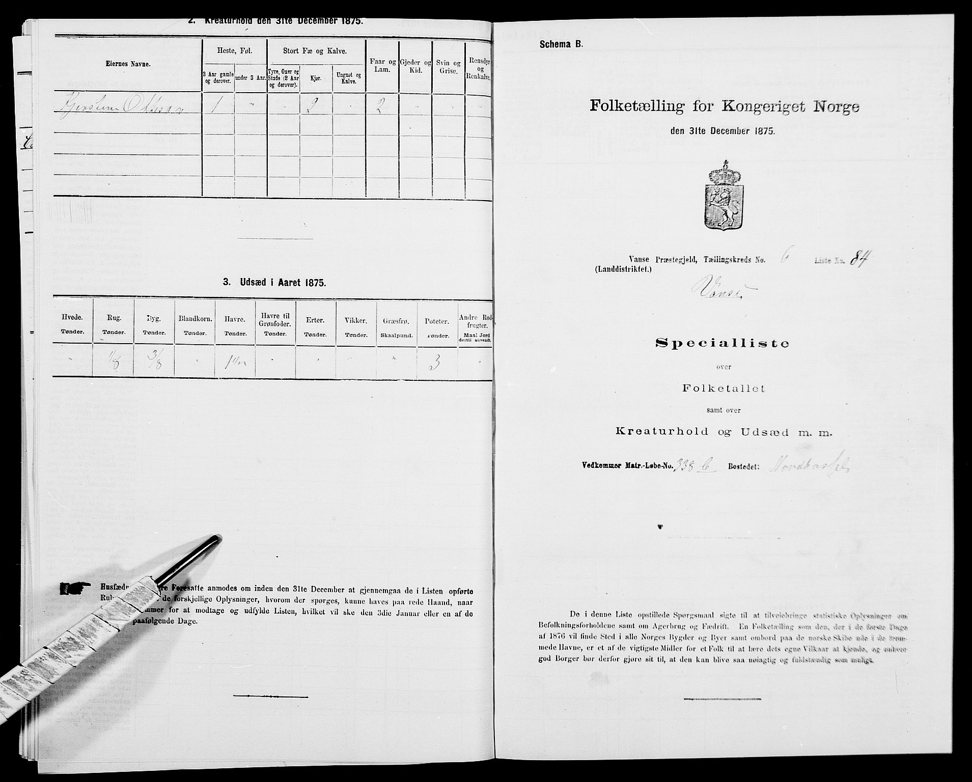 SAK, 1875 census for 1041L Vanse/Vanse og Farsund, 1875, p. 1171