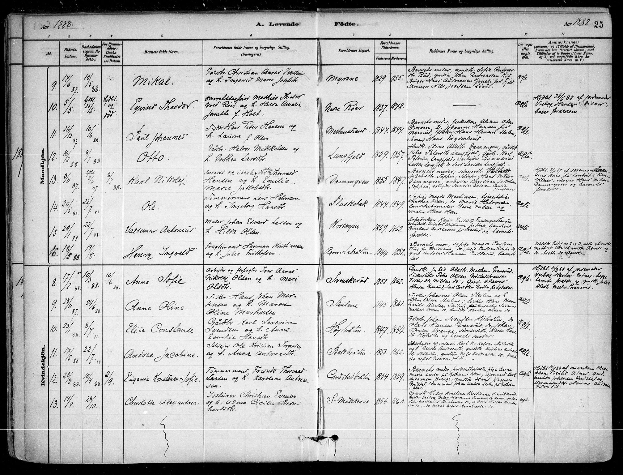 Nesodden prestekontor Kirkebøker, SAO/A-10013/F/Fa/L0009: Parish register (official) no. I 9, 1880-1915, p. 25