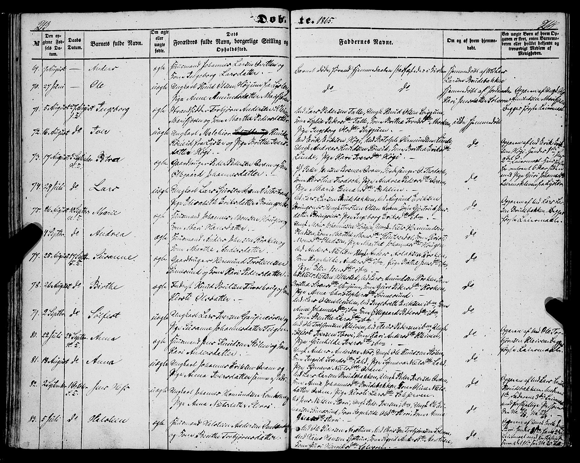 Hafslo sokneprestembete, SAB/A-80301/H/Haa/Haaa/L0009: Parish register (official) no. A 9, 1852-1873, p. 213-214