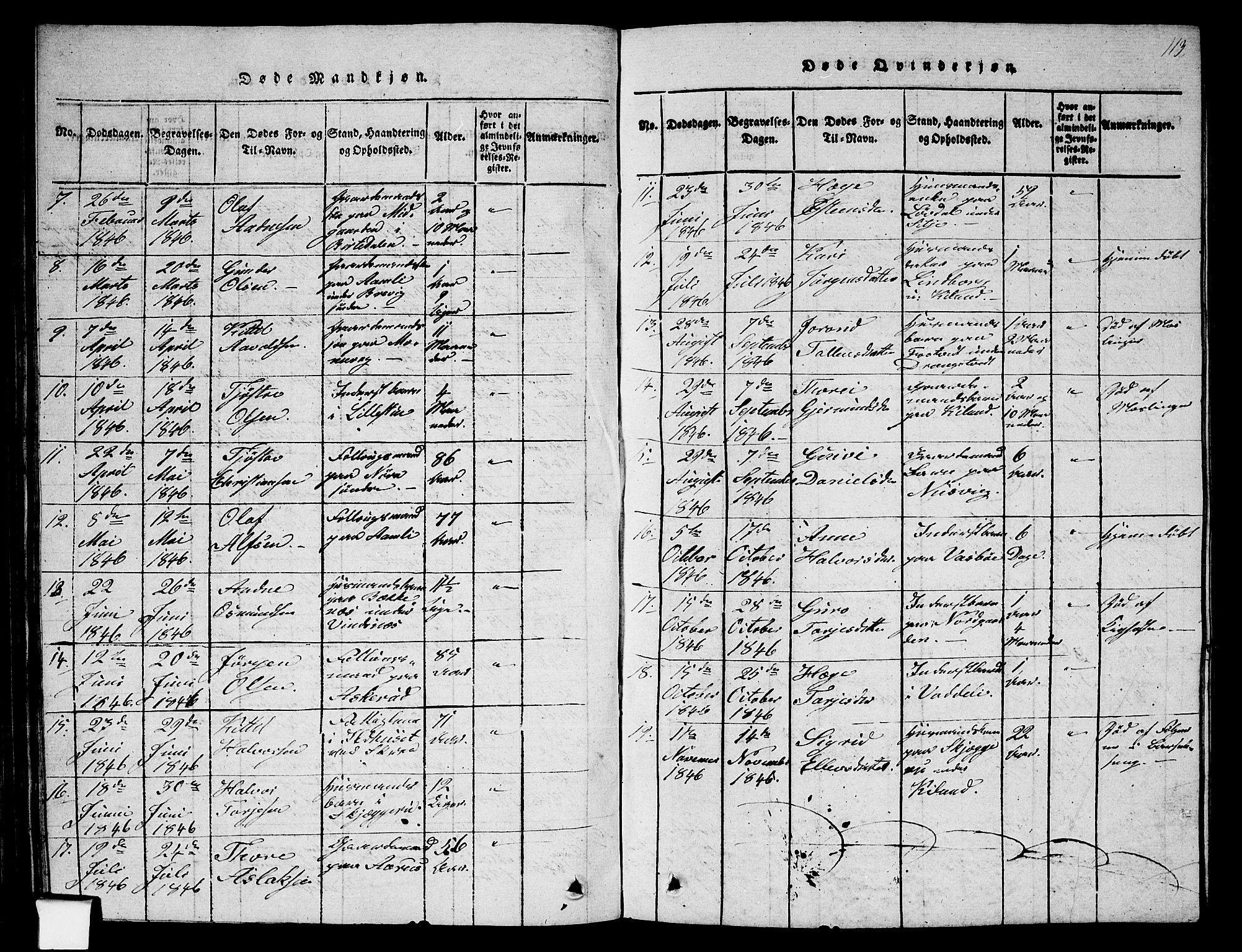 Fyresdal kirkebøker, SAKO/A-263/G/Ga/L0002: Parish register (copy) no. I 2, 1815-1857, p. 113