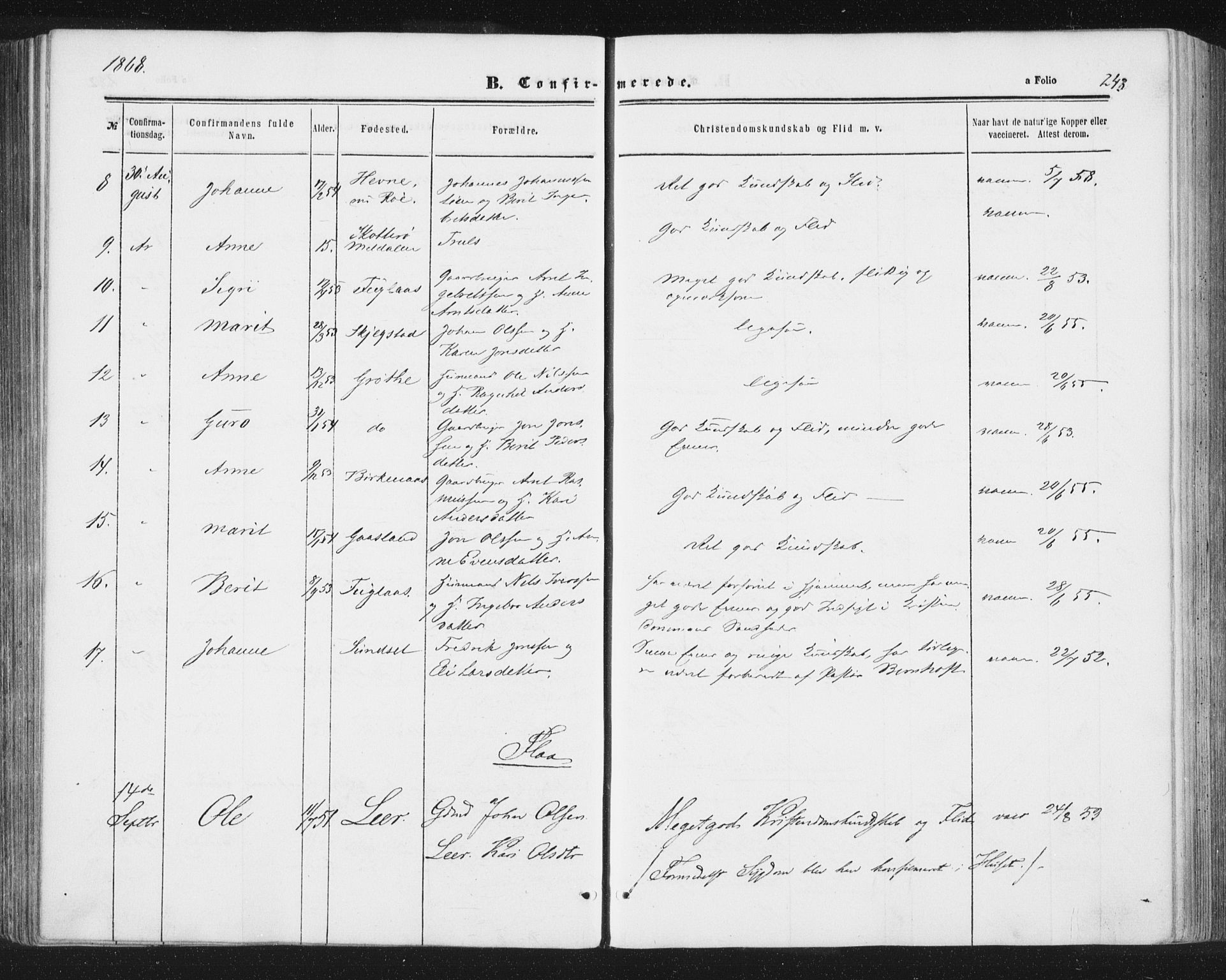 Ministerialprotokoller, klokkerbøker og fødselsregistre - Sør-Trøndelag, AV/SAT-A-1456/691/L1077: Parish register (official) no. 691A09, 1862-1873, p. 243