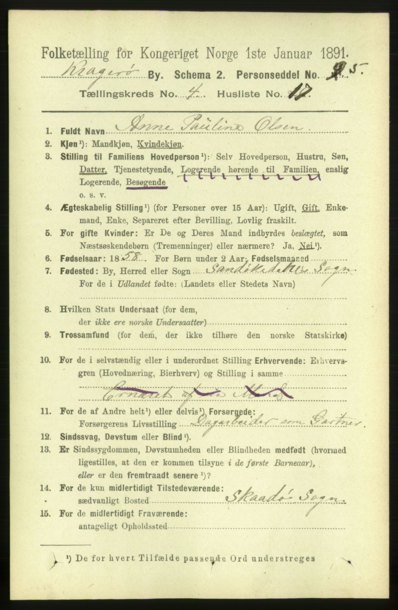 RA, 1891 census for 0801 Kragerø, 1891, p. 2944