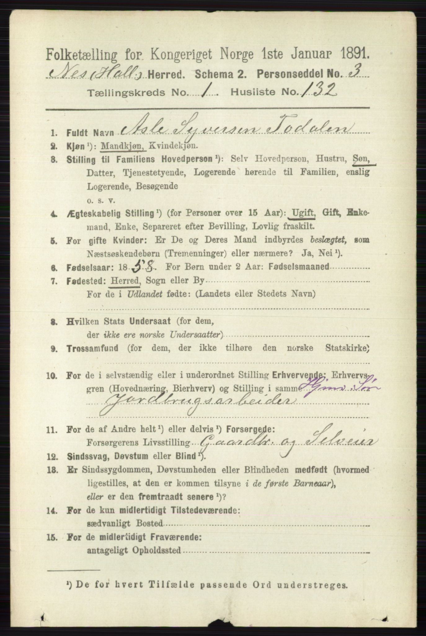 RA, 1891 census for 0616 Nes, 1891, p. 901