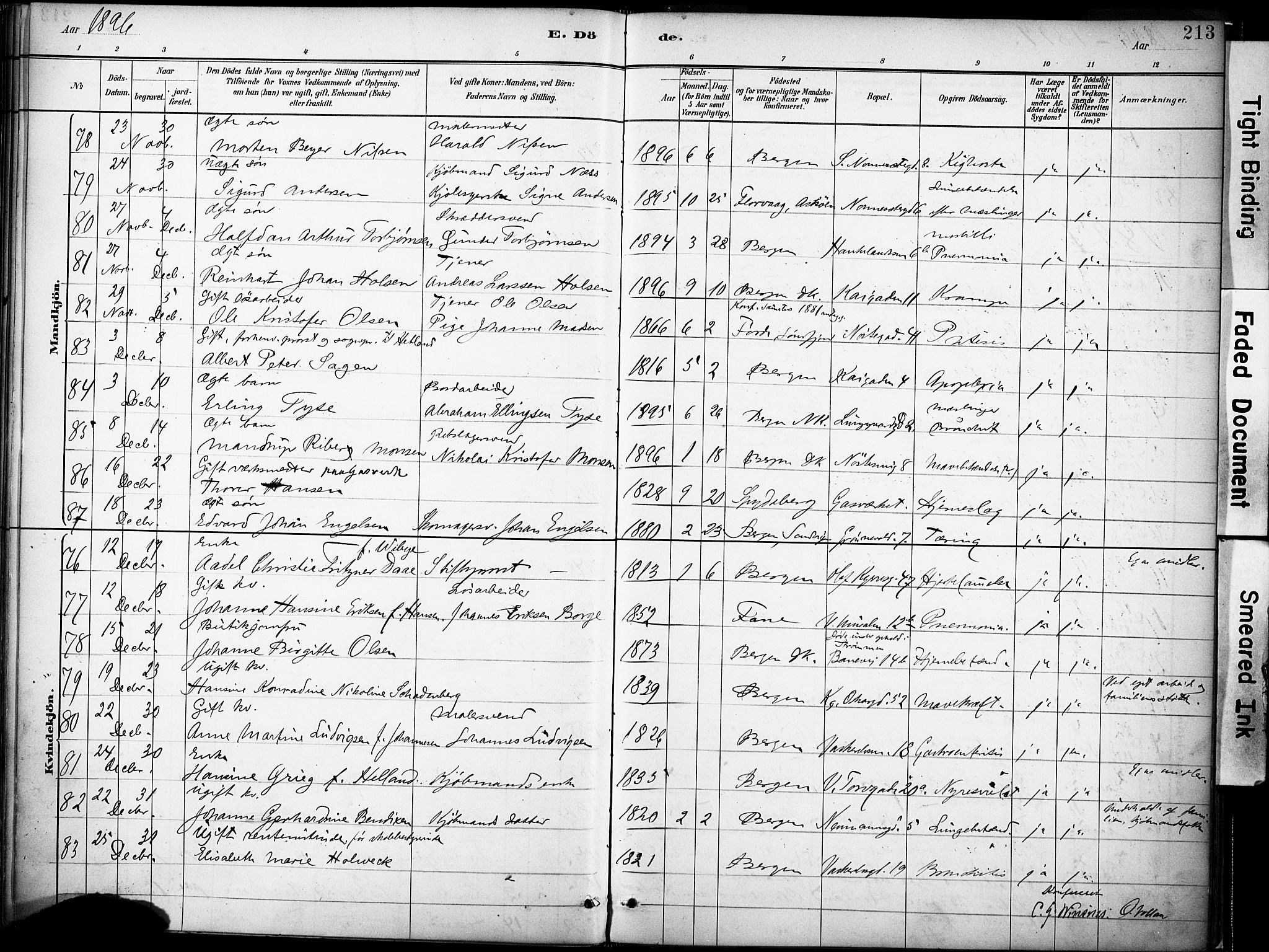 Domkirken sokneprestembete, SAB/A-74801/H/Haa/L0043: Parish register (official) no. E 5, 1882-1904, p. 213