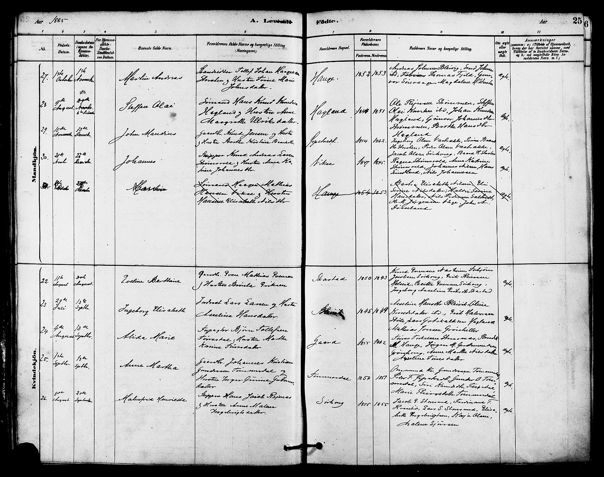 Haugesund sokneprestkontor, AV/SAST-A -101863/H/Ha/Haa/L0002: Parish register (official) no. A 2, 1878-1886, p. 25