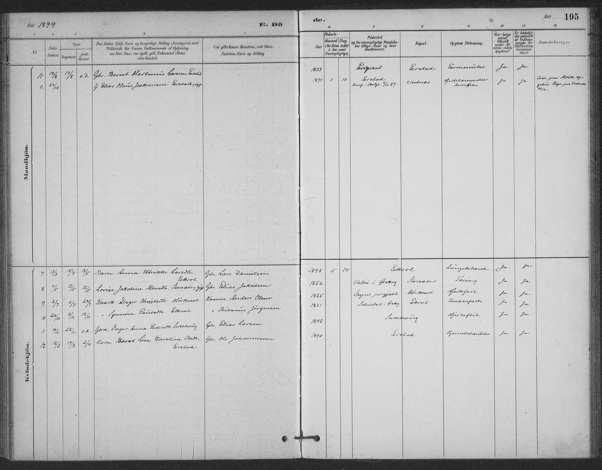 Ministerialprotokoller, klokkerbøker og fødselsregistre - Møre og Romsdal, AV/SAT-A-1454/524/L0356: Parish register (official) no. 524A08, 1880-1899, p. 195