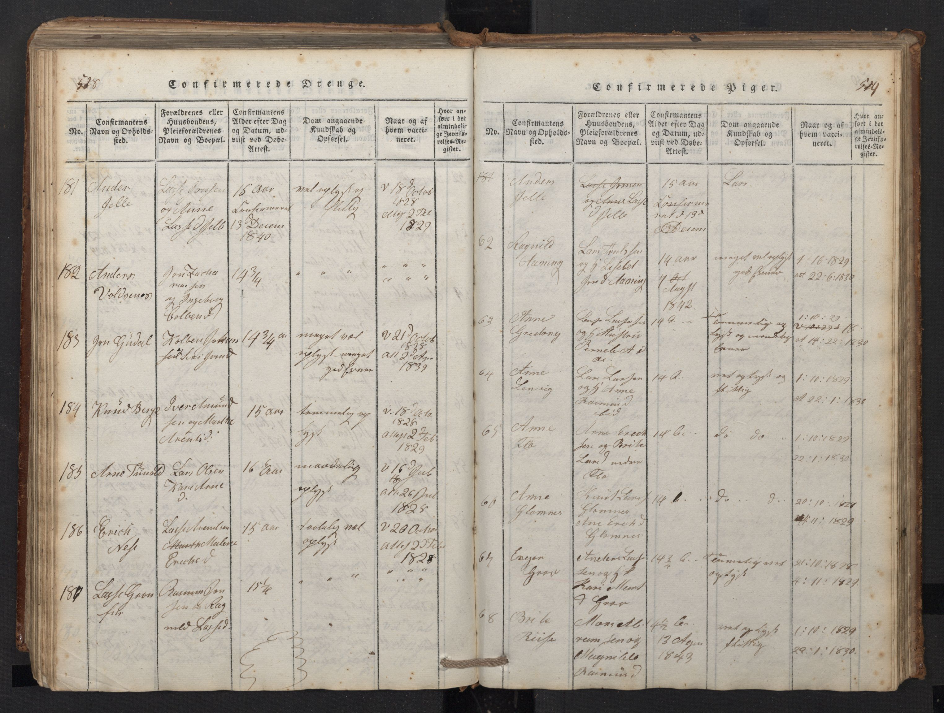 Stryn Sokneprestembete, AV/SAB-A-82501: Parish register (copy) no. A 1, 1816-1844, p. 528-529