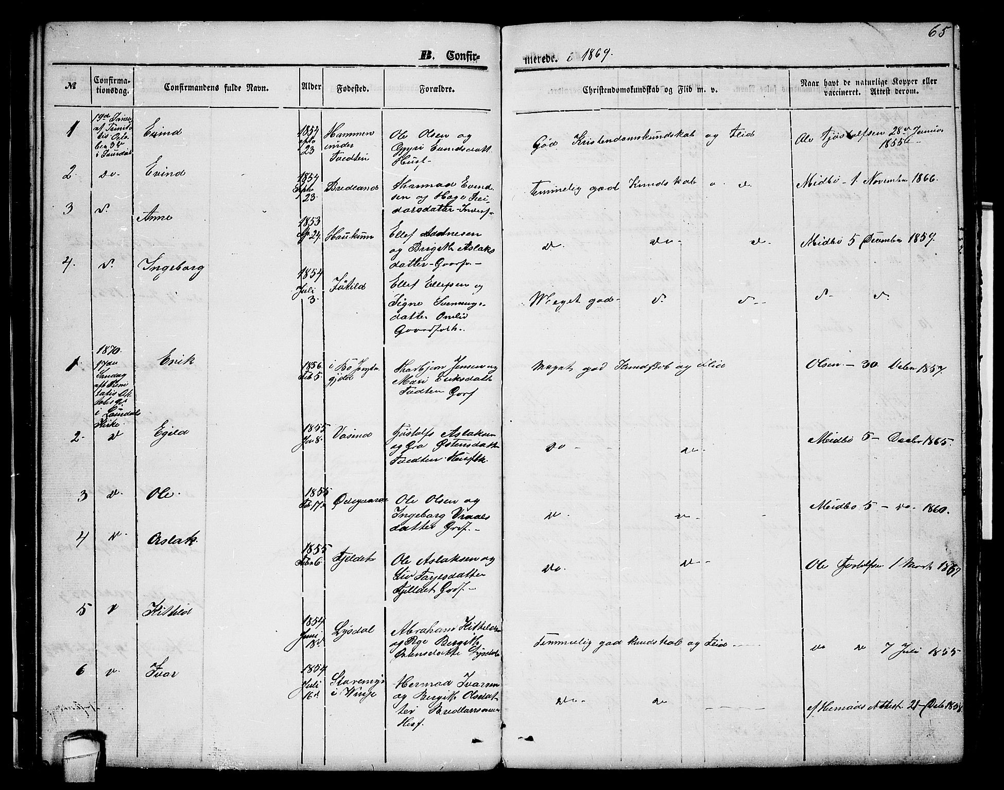 Lårdal kirkebøker, SAKO/A-284/G/Gc/L0002: Parish register (copy) no. III 2, 1852-1877, p. 65
