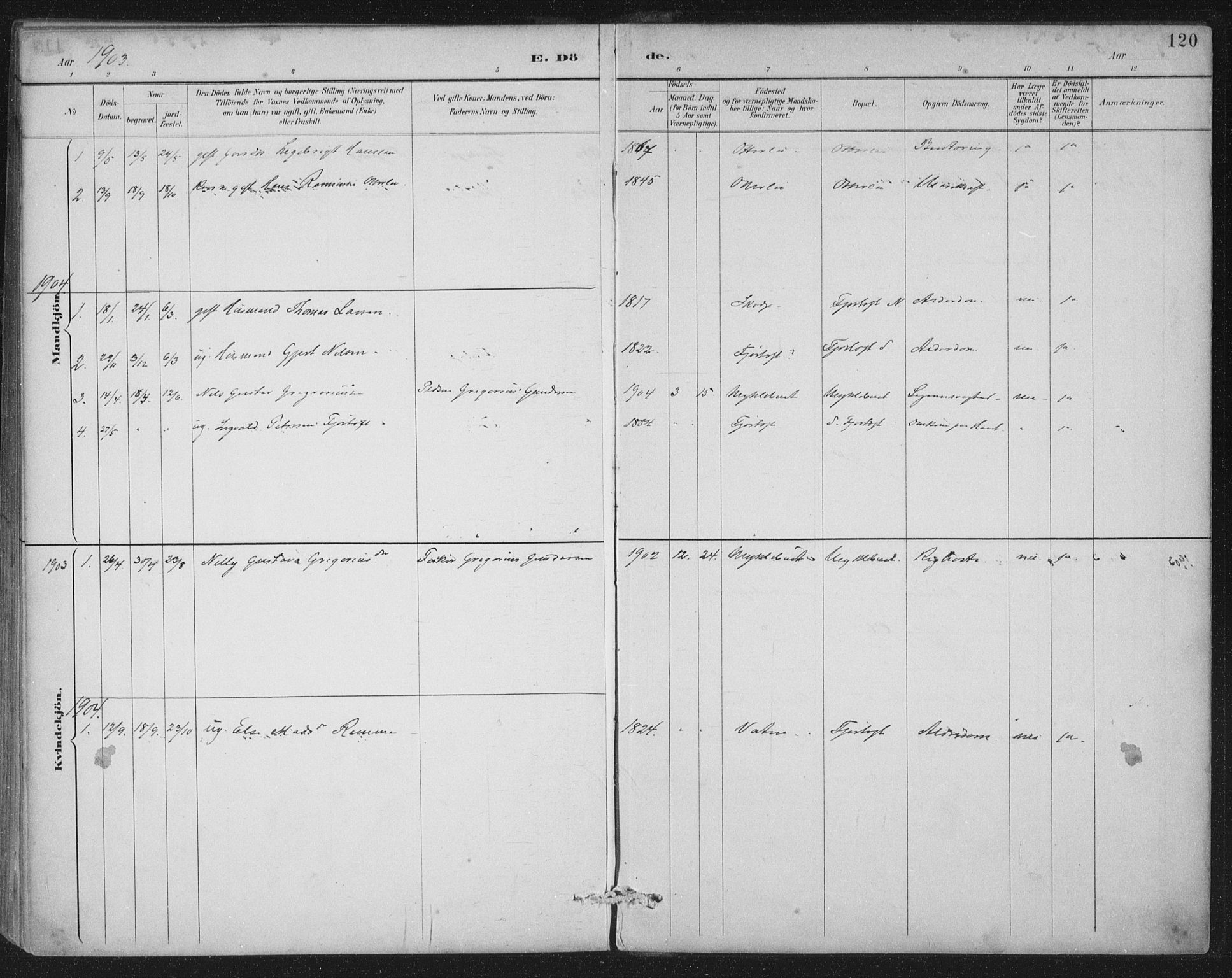 Ministerialprotokoller, klokkerbøker og fødselsregistre - Møre og Romsdal, AV/SAT-A-1454/538/L0522: Parish register (official) no. 538A01, 1884-1913, p. 120