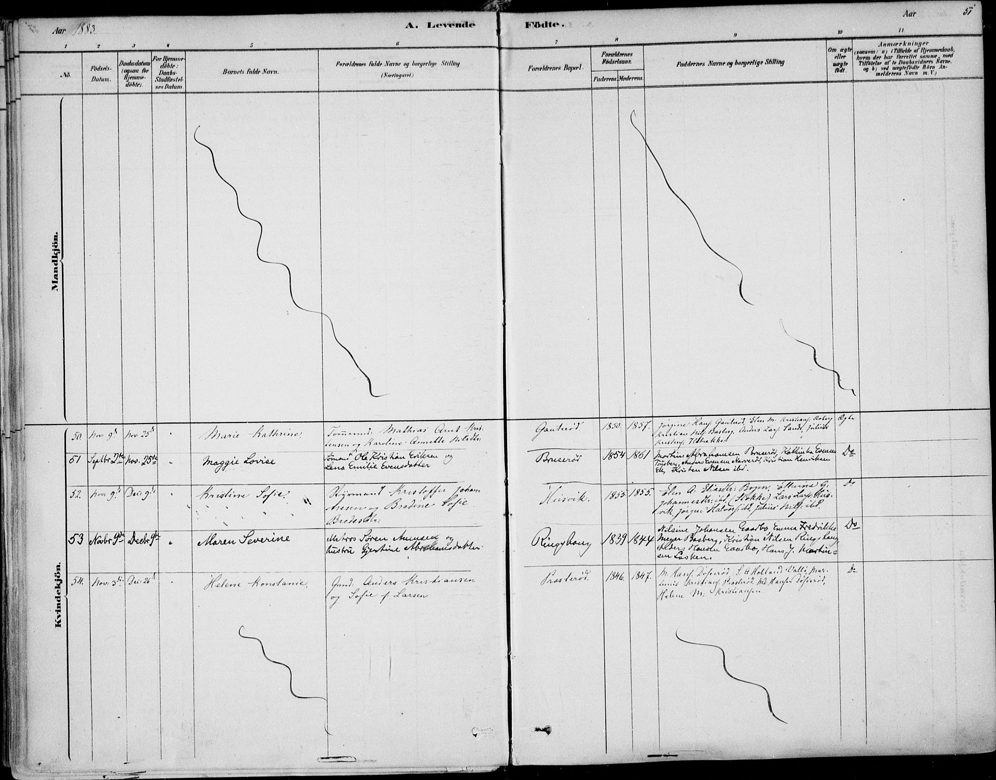 Sem kirkebøker, AV/SAKO-A-5/F/Fb/L0004: Parish register (official) no. II 4, 1878-1891, p. 51