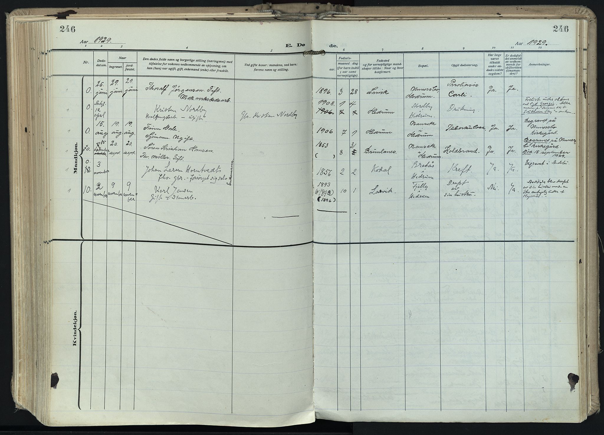 Hedrum kirkebøker, SAKO/A-344/F/Fa/L0011: Parish register (official) no. I 11, 1919-1933, p. 246