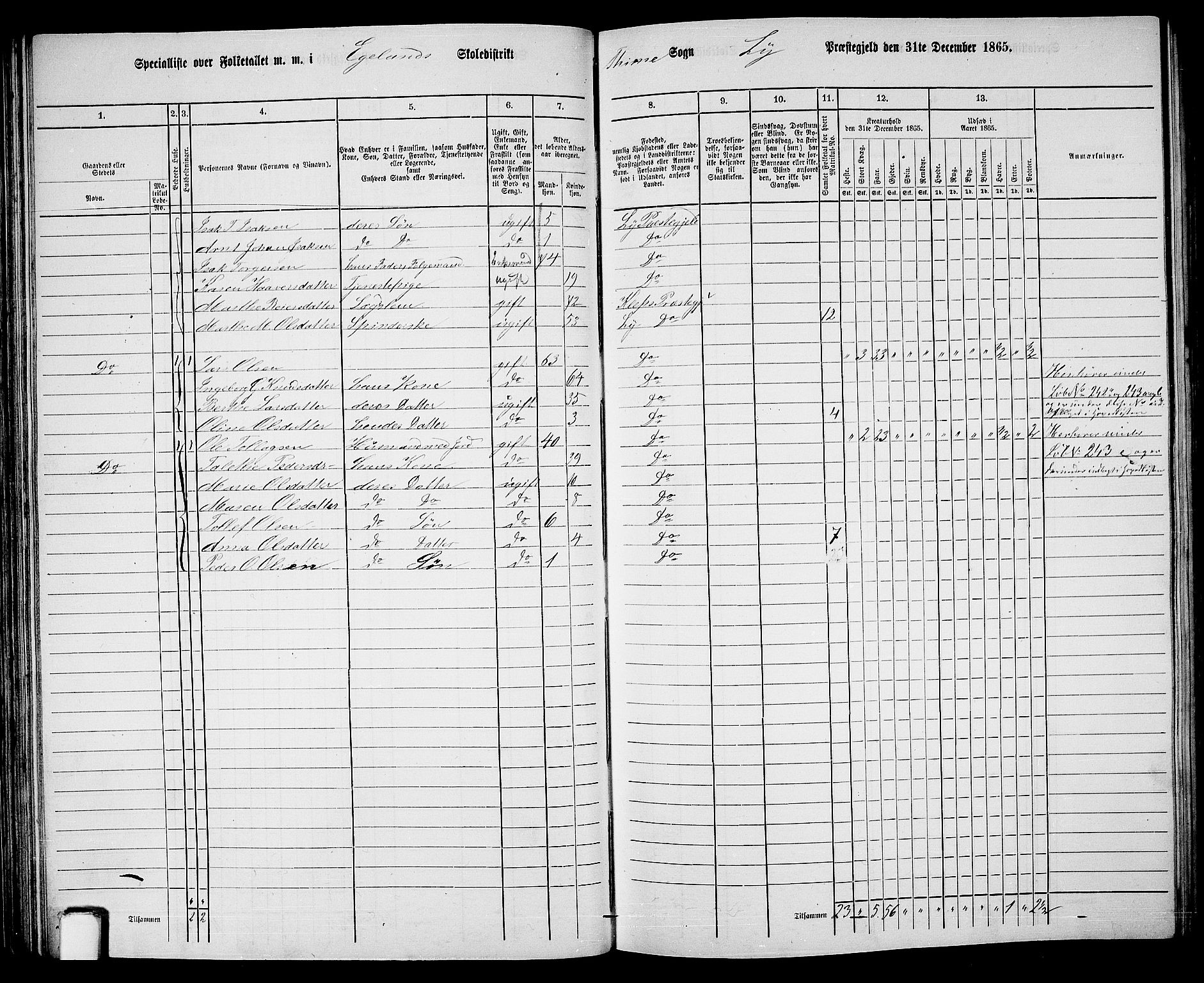 RA, 1865 census for Lye, 1865, p. 56