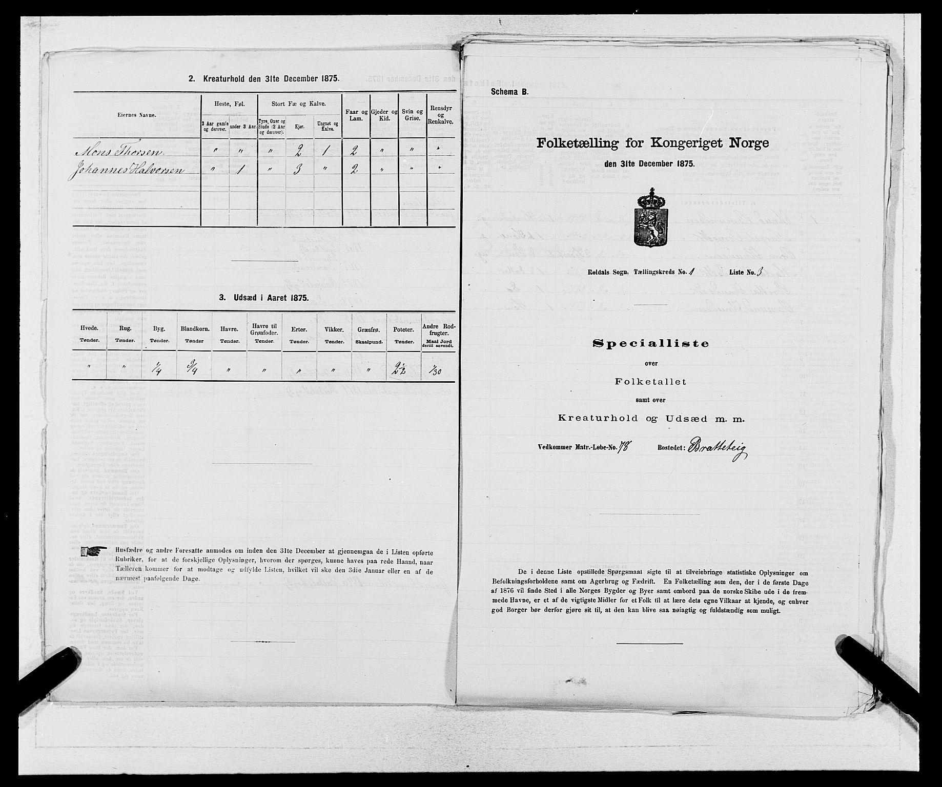 SAB, 1875 census for 1229P Røldal, 1875, p. 15