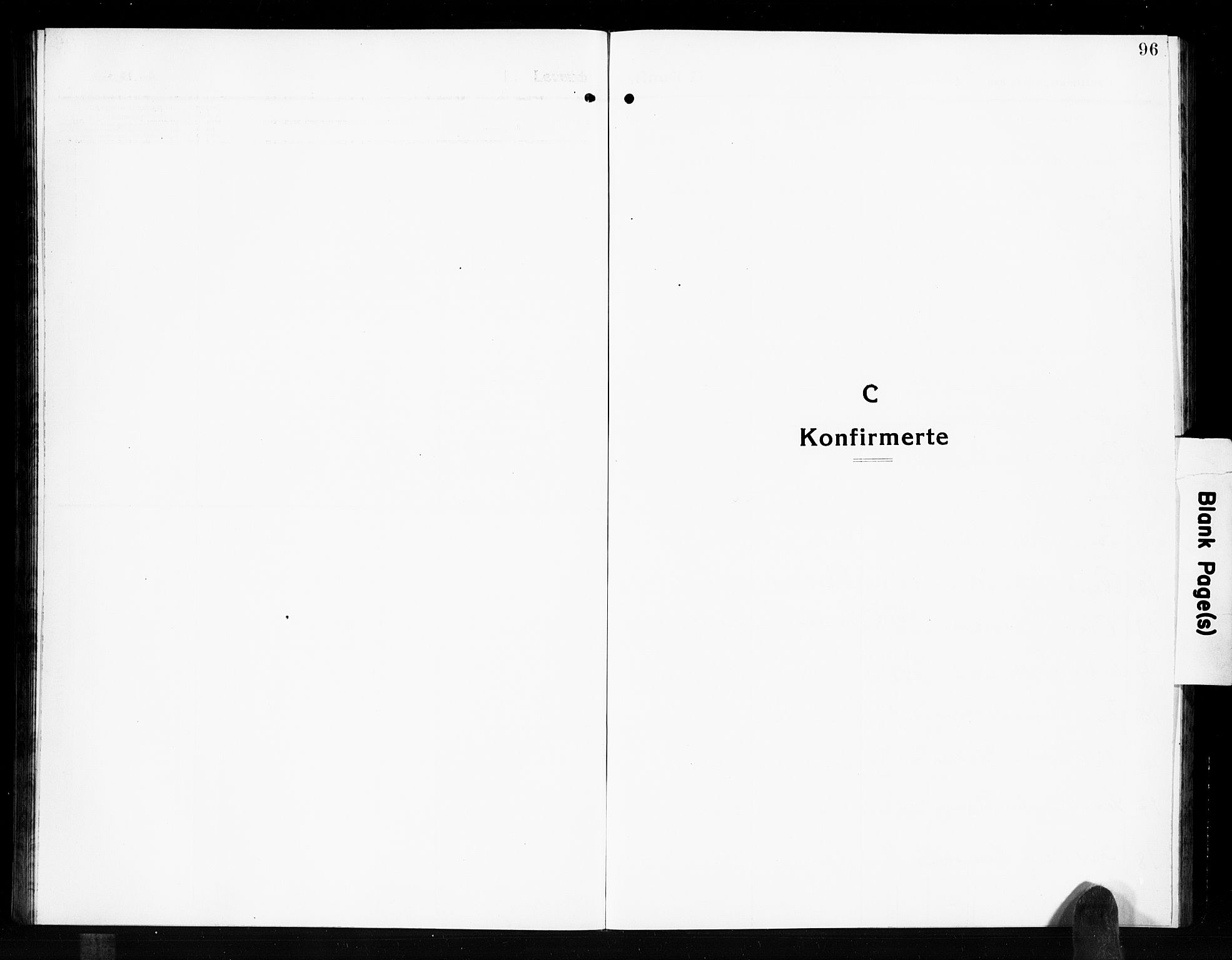 Solum kirkebøker, SAKO/A-306/G/Gb/L0006: Parish register (copy) no. II 6, 1915-1927, p. 96