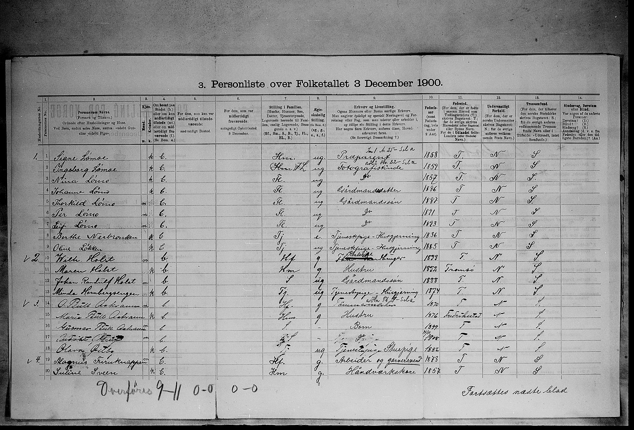 SAH, 1900 census for Elverum, 1900, p. 1138