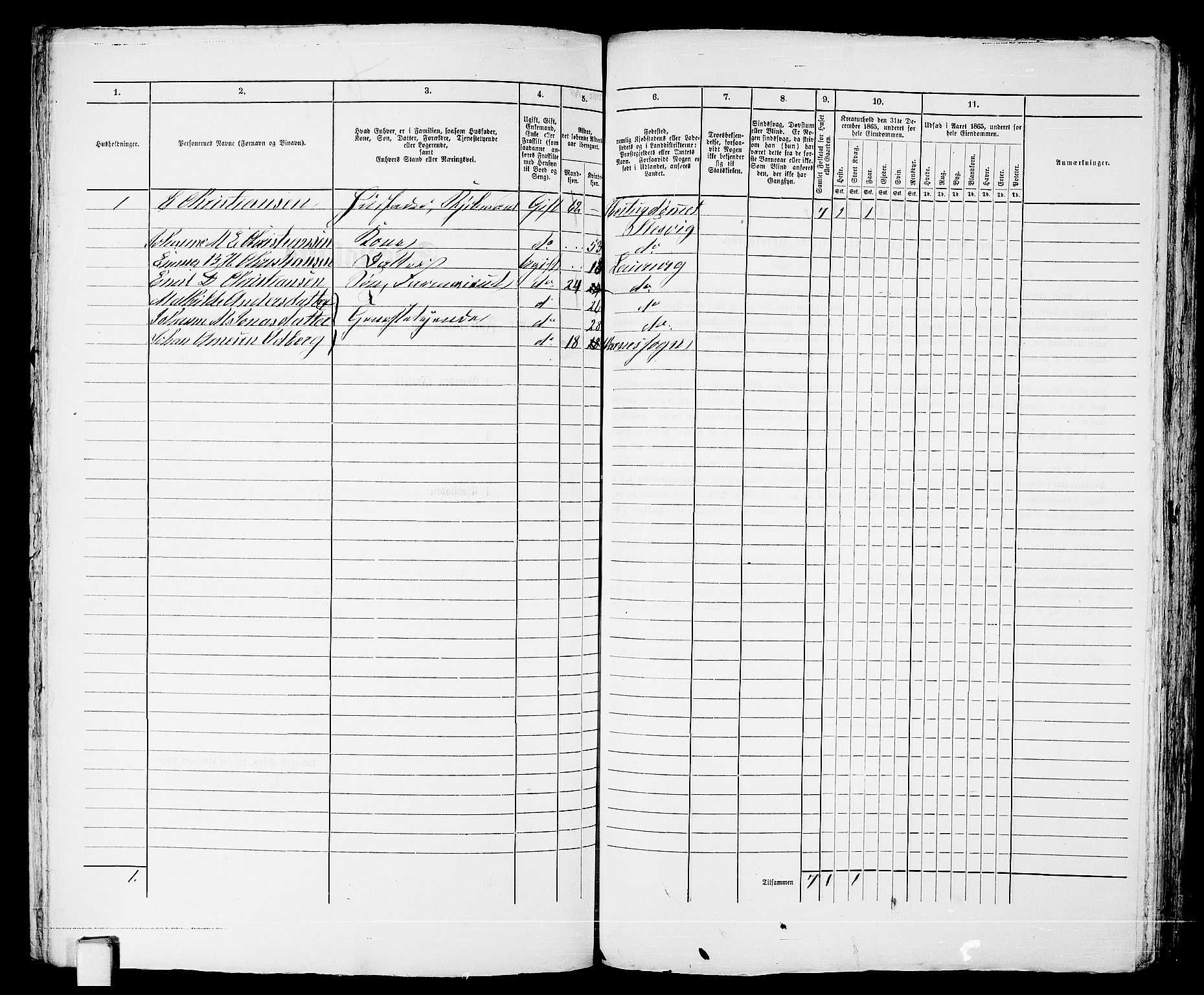 RA, 1865 census for Larvik, 1865, p. 220