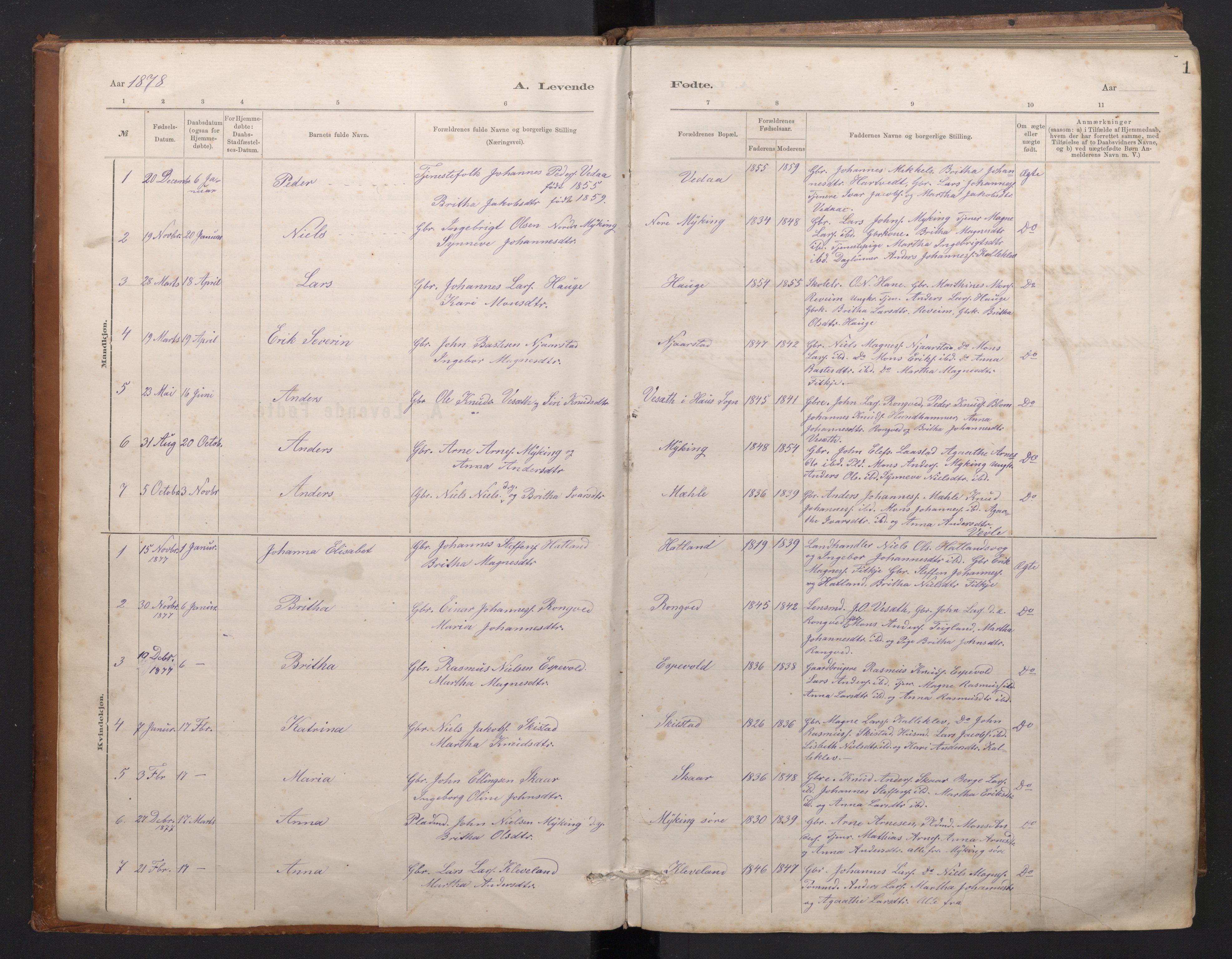 Haus sokneprestembete, SAB/A-75601/H/Hab: Parish register (copy) no. C 2, 1878-1892, p. 0b-1a