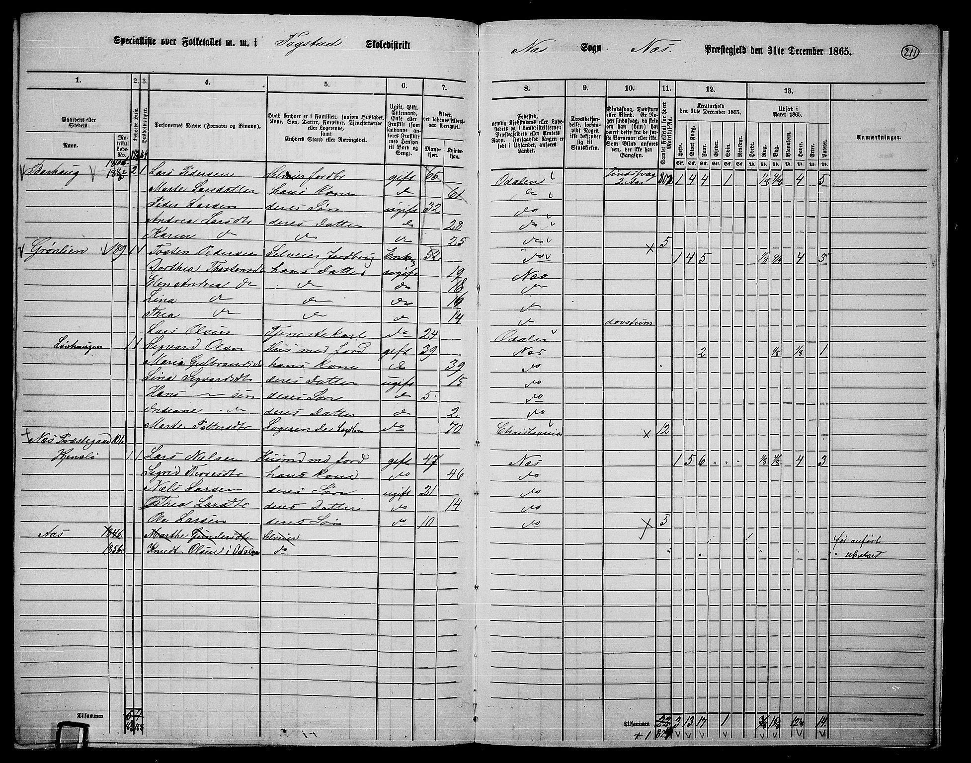RA, 1865 census for Nes, 1865, p. 194