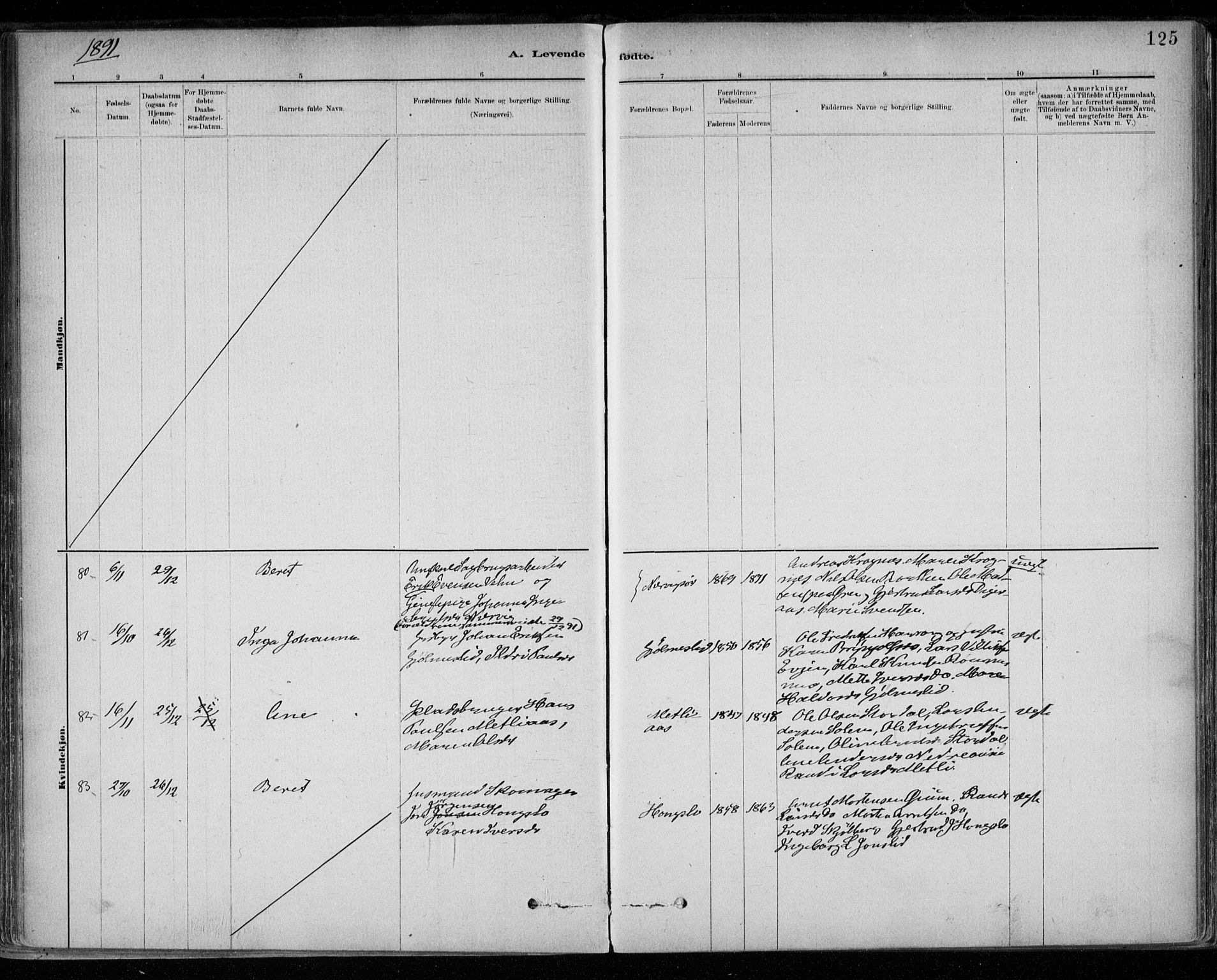 Ministerialprotokoller, klokkerbøker og fødselsregistre - Sør-Trøndelag, SAT/A-1456/668/L0809: Parish register (official) no. 668A09, 1881-1895, p. 125